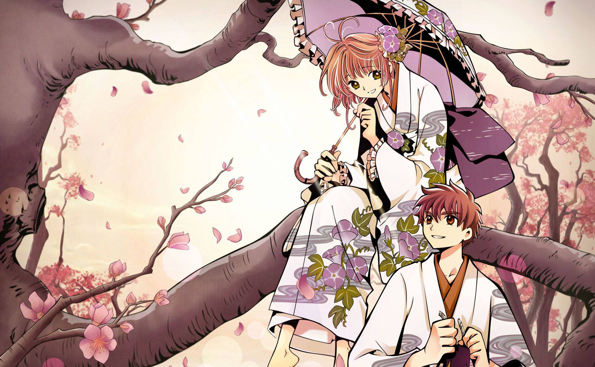 tsubasa reservoir chronicle 桌布 壁紙 — 兩個穿著傳統長袍的動漫角色坐在盛開的櫻花樹下，粉紅色的花瓣在柔和粉彩光線中飄落。