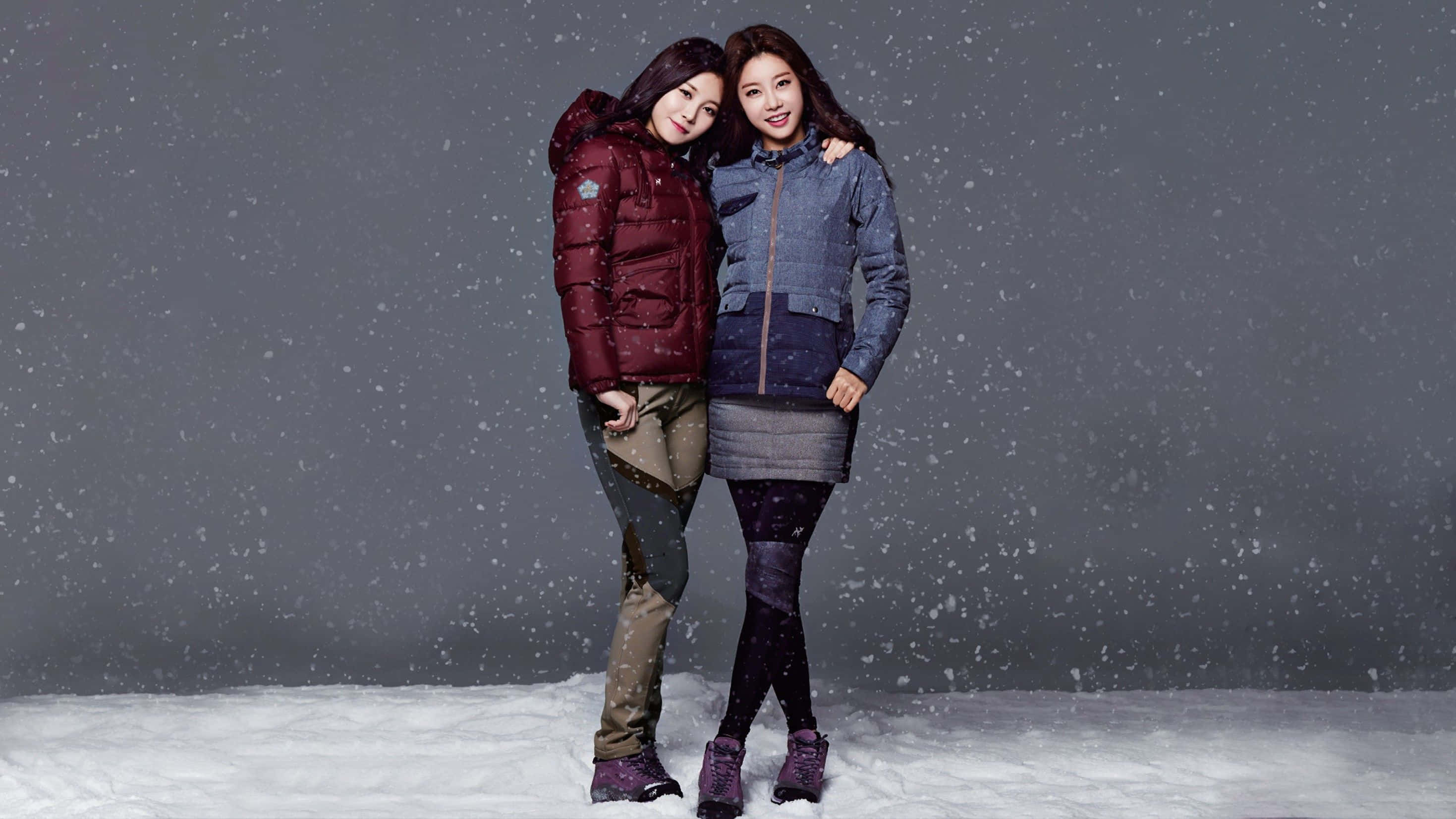 Winter Fashion 桌布 壁紙 — 兩個穿著冬季外套的女人在灰色背景前，在飄落的雪中緊靠在一起。