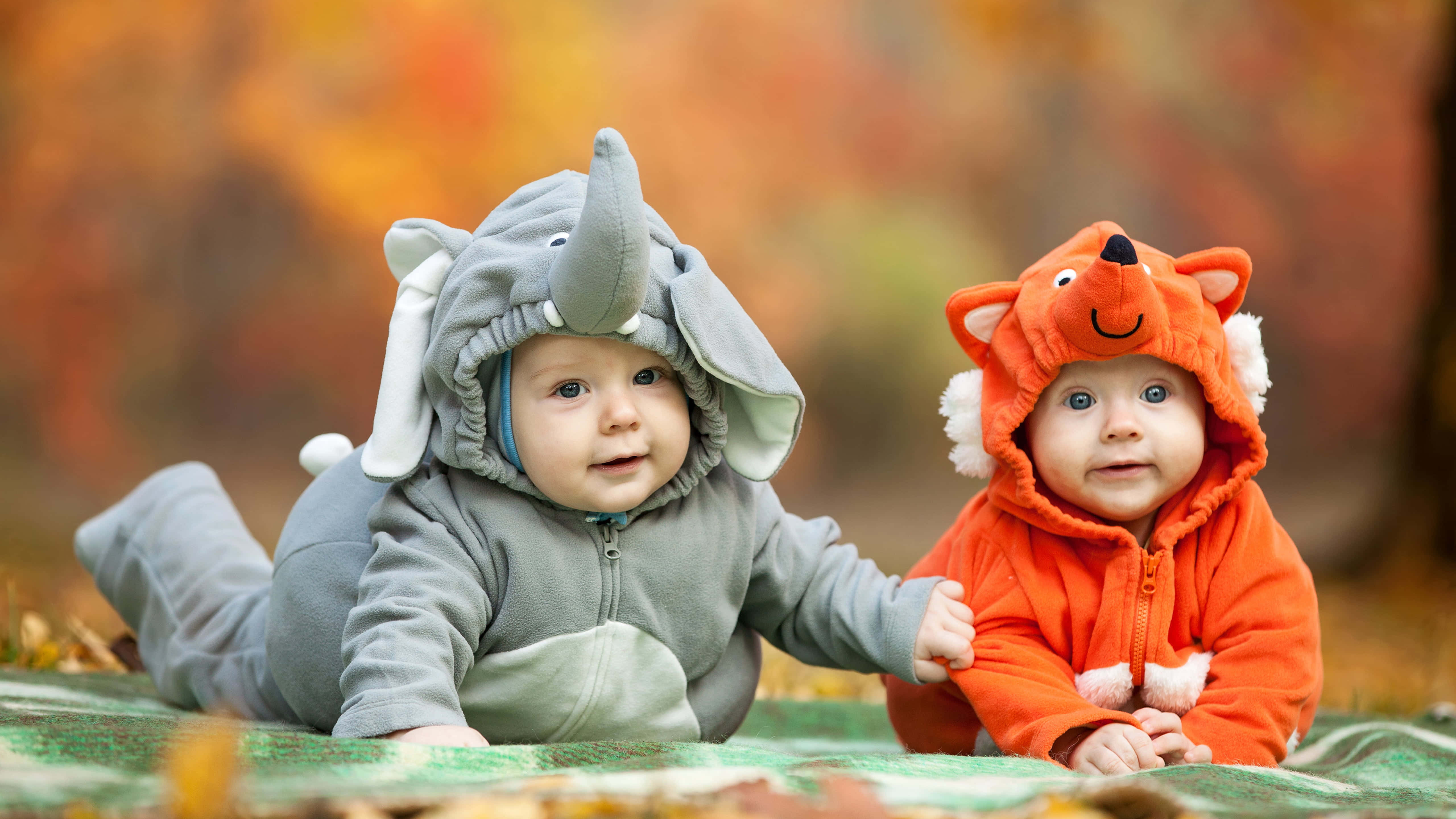 Cute Babies 桌布 壁紙 — 兩個穿著大象和狐狸服裝的嬰兒躺在色彩繽紛的秋葉中的毯子上。