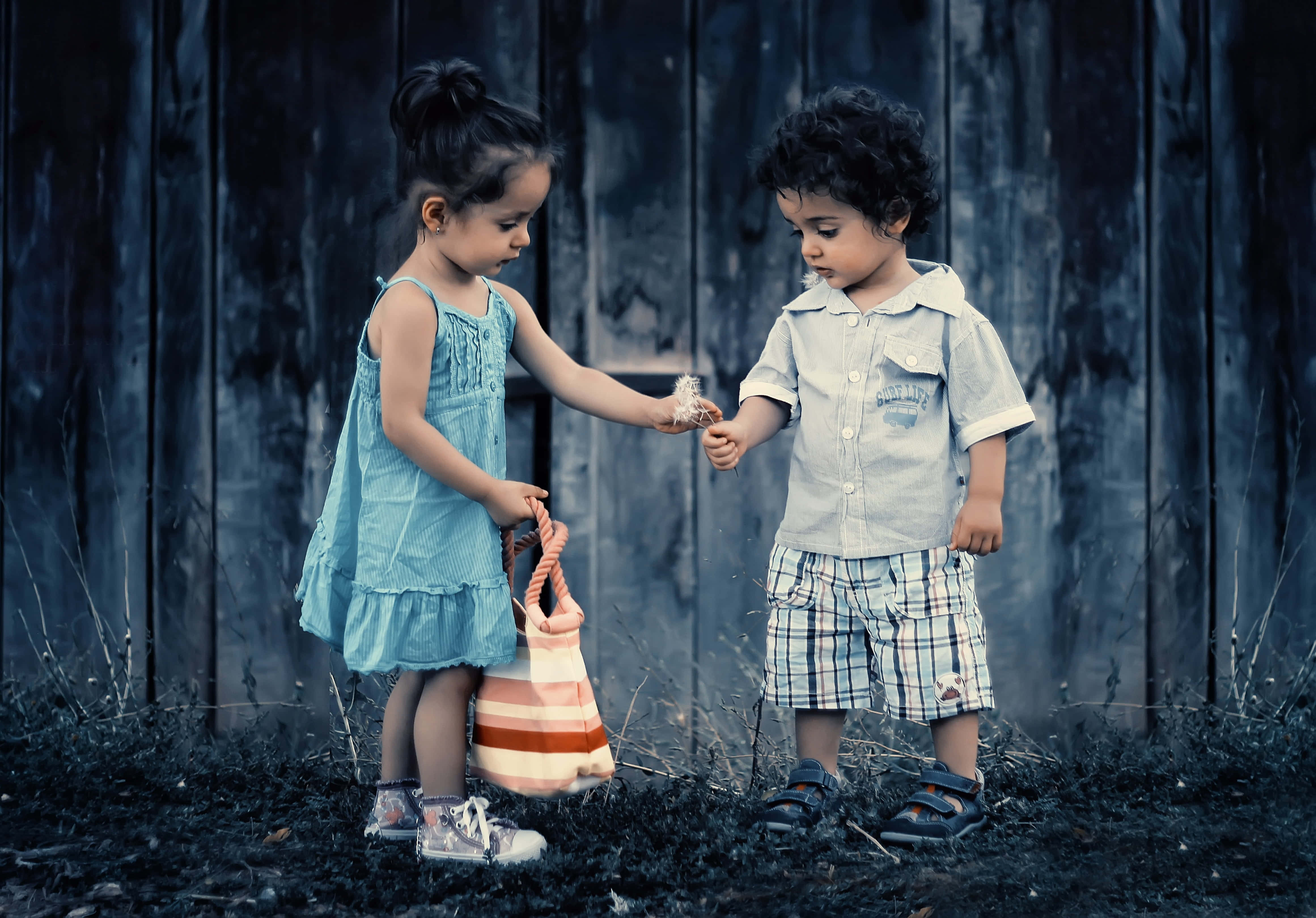 Cute Toddlers 桌布 壁紙 — 兩個穿著復古衣服的幼兒在涼爽的藍色調中，對著一個風化的木柵欄分享蒲公英絨毛。