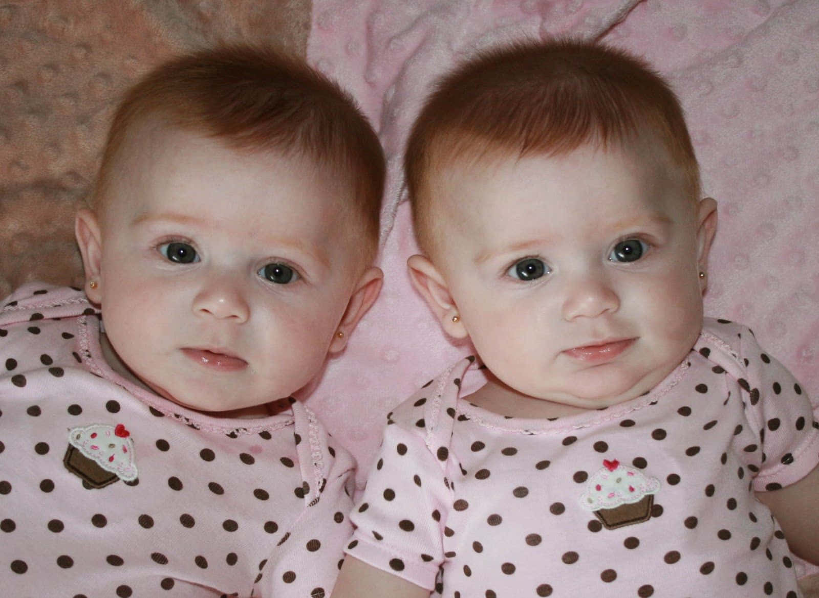 twins 桌布 壁紙 — 兩個穿著粉紅色圓點服裝的同卵雙胞胎嬰兒並排躺在柔軟的粉紅色毯子上，好奇地凝視著相機。