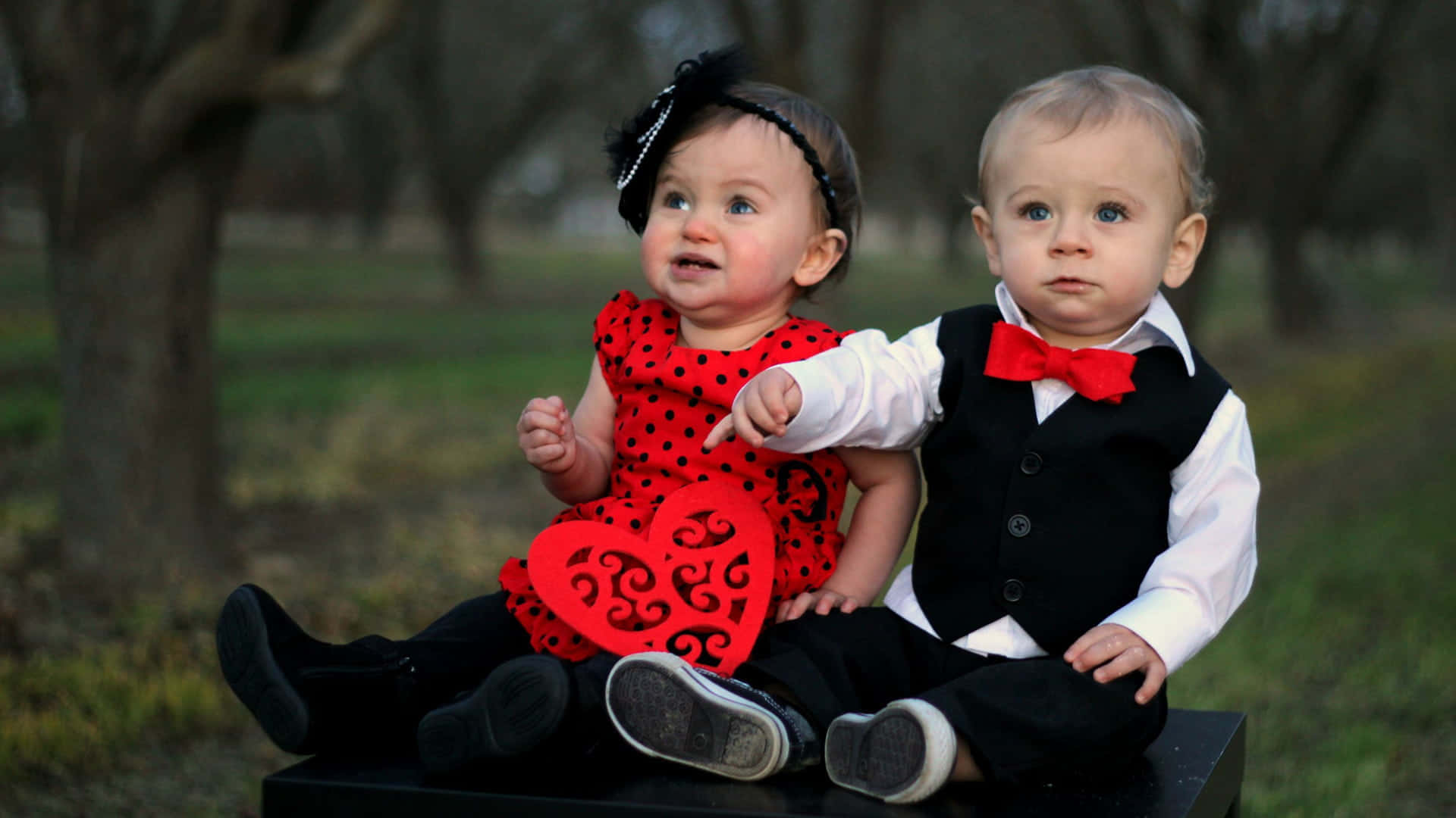 Cute Babies 桌布 壁紙 — 兩個穿著紅色和黑色情人節服裝的幼兒坐在一個有裸樹的草地公園裡的黑色箱子上。