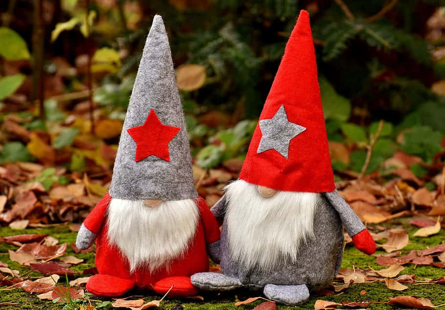 Christmas Gnome 桌布 壁紙 — 兩個節日風格的氈製地精，戴著星星裝飾的帽子，並排坐在長滿青苔的地面上，周圍散落著秋天的落葉。