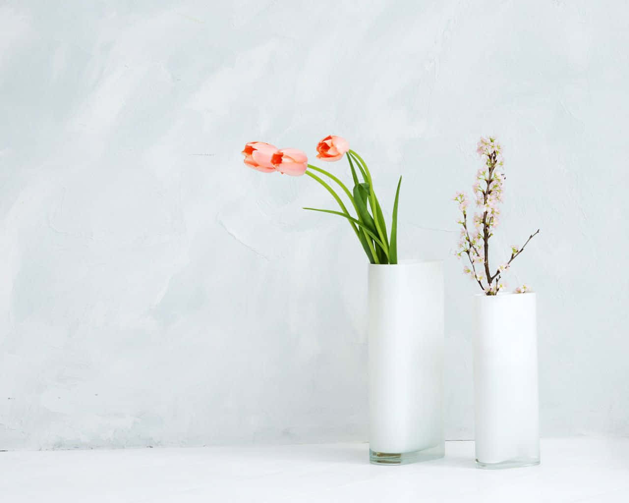 Simple Flower 桌布 壁紙 — 兩個簡約白色花瓶插著粉紅鬱金香和精緻花朵，背景是帶紋理的淺藍色牆壁。