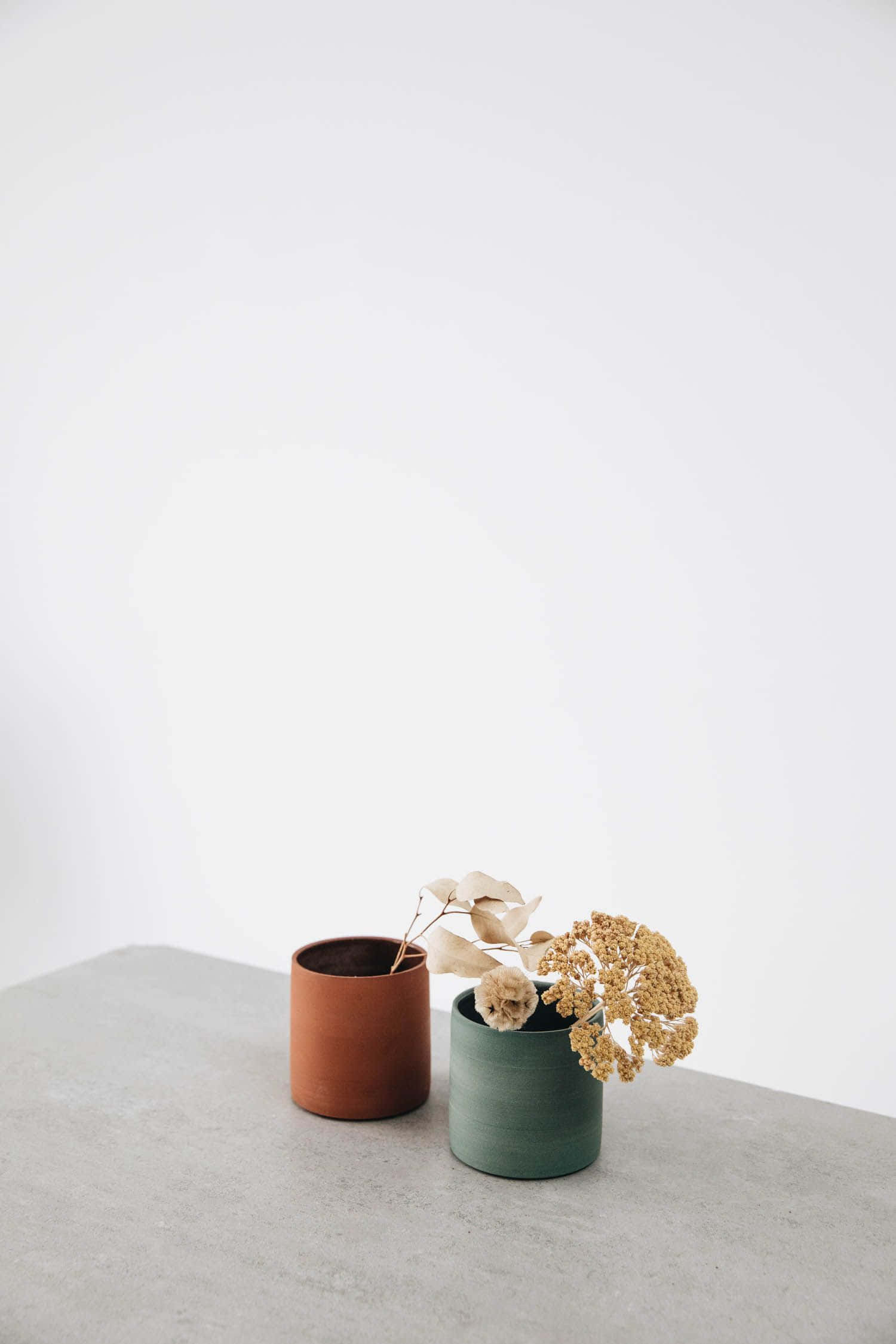 Minimalist Photography 桌布 壁紙 — 兩個簡約陶瓷花瓶在混凝土表面上擺放乾花，背景為純白牆壁。