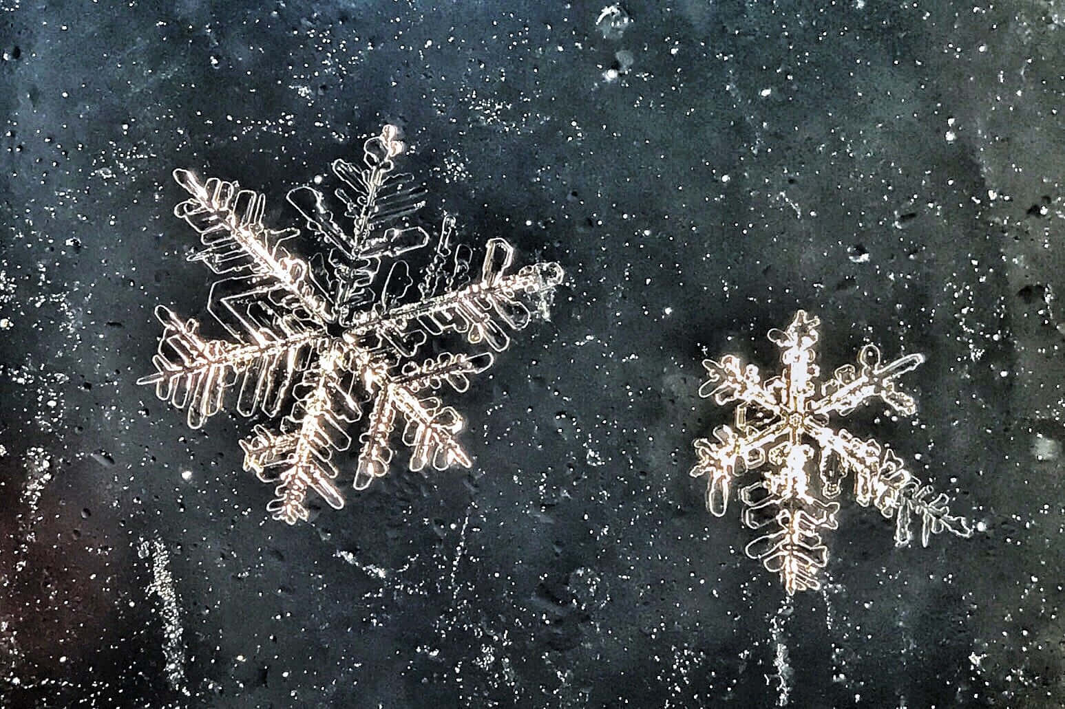 雪花 桌布 壁紙 — 兩個精緻的霜晶在柔和光線下於深色紋理表面上閃耀。
