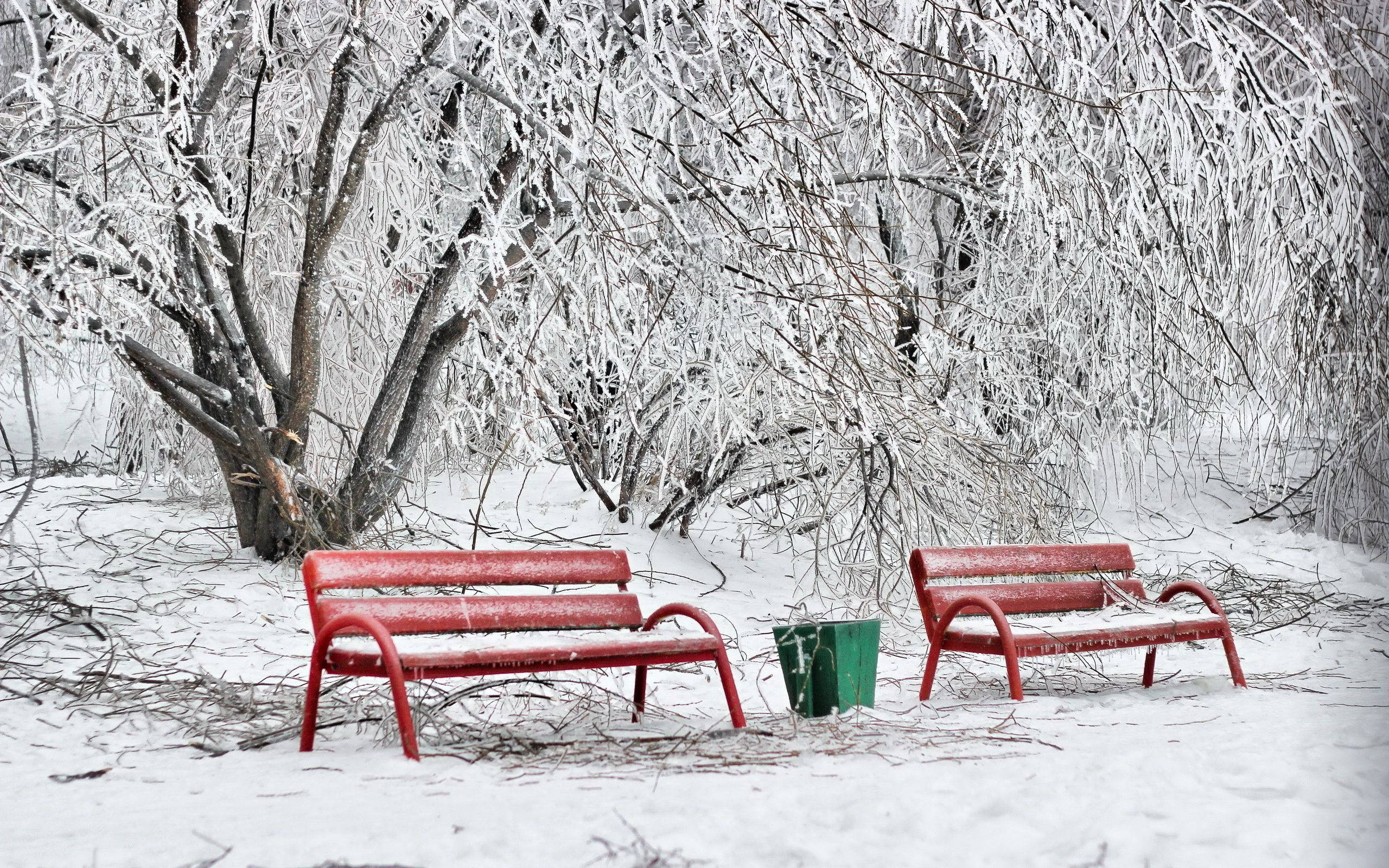 Bench 桌布 壁紙 — 兩個紅色長椅放在一個被冰雪覆蓋的樹木包圍的雪地公園中，天空是灰色的冬日景象。