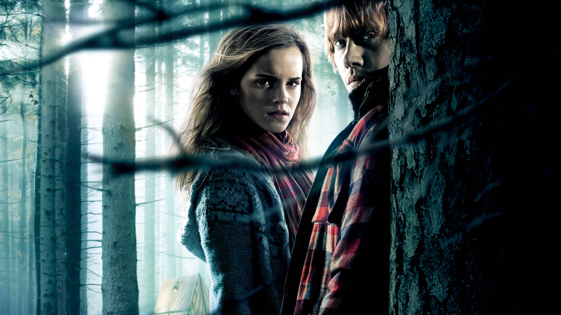 Hermione 桌布 壁紙 — 兩個緊張的人物穿過纏結的樹枝在迷霧森林中窺視，沐浴在詭異的藍光中。