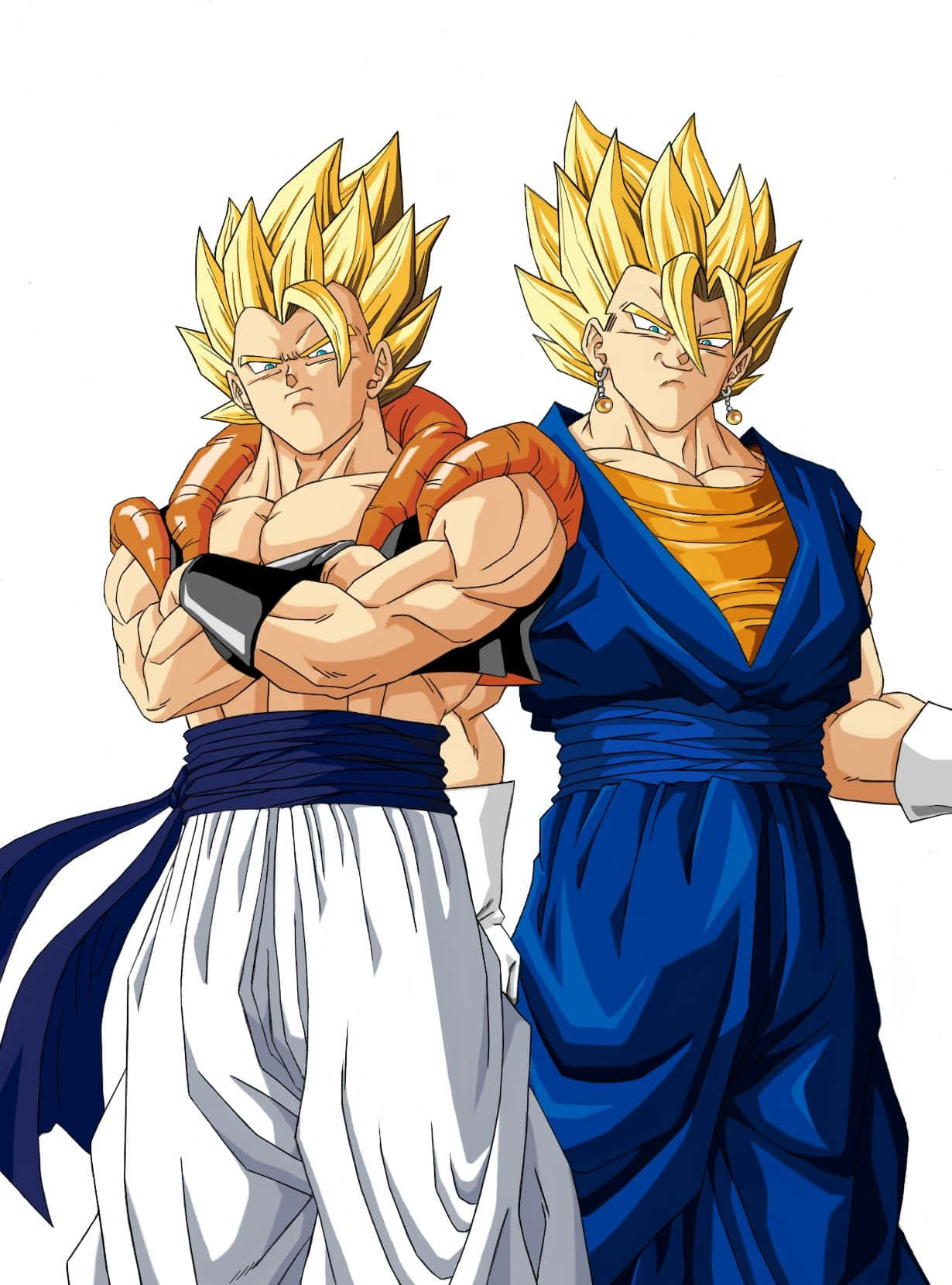 Gogeta And Vegito 桌布 壁紙 — 兩個肌肉發達的動漫戰士，擁有尖刺金色頭髮，自信地站在白色背景前，一個穿著白色道服，另一個穿著藍色。