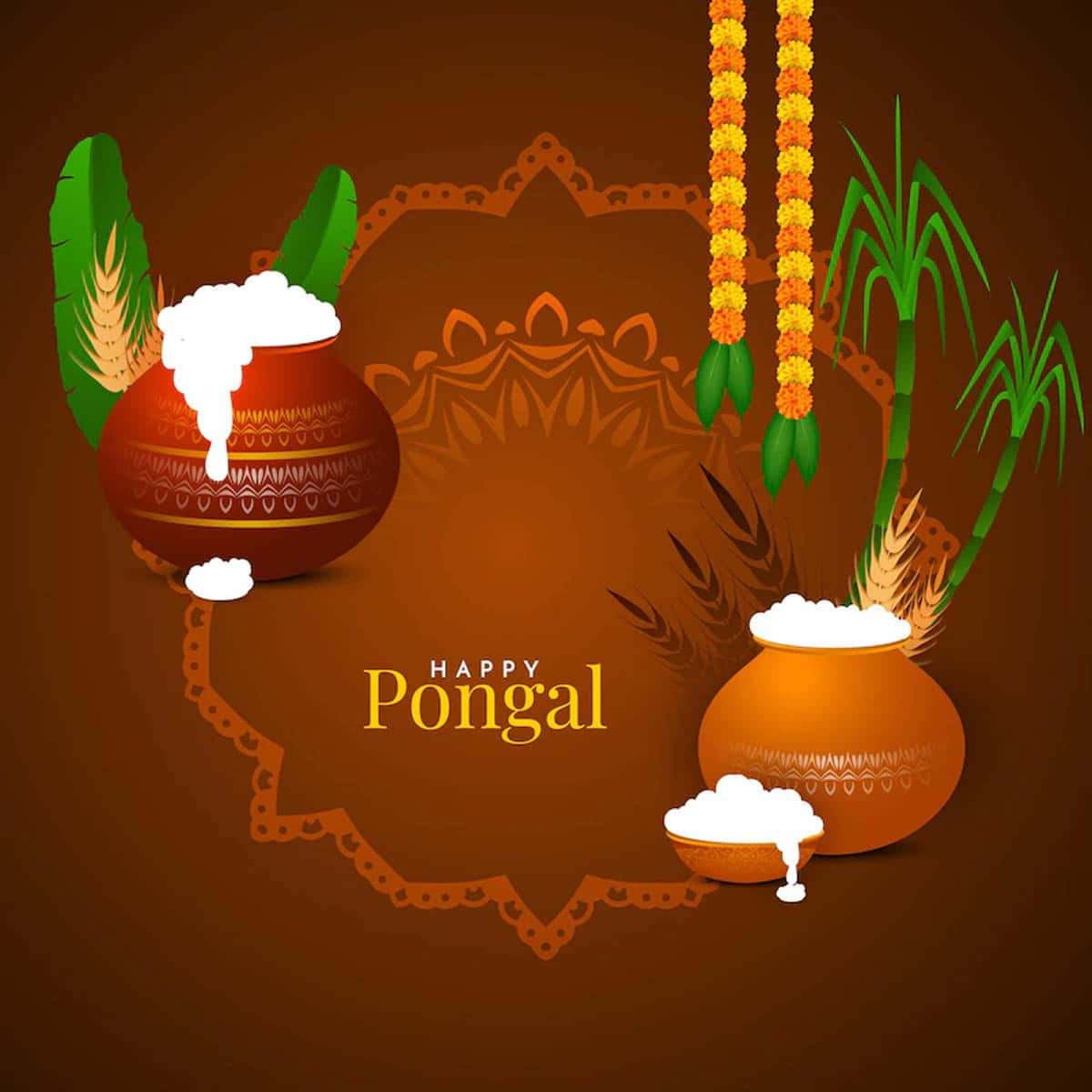 Pongal 桌布 壁紙 — 兩個華麗的罐子溢出泡沫狀的白色 Pongal，旁邊是甘蔗和金盞花花環，背景是濃郁的棕色。