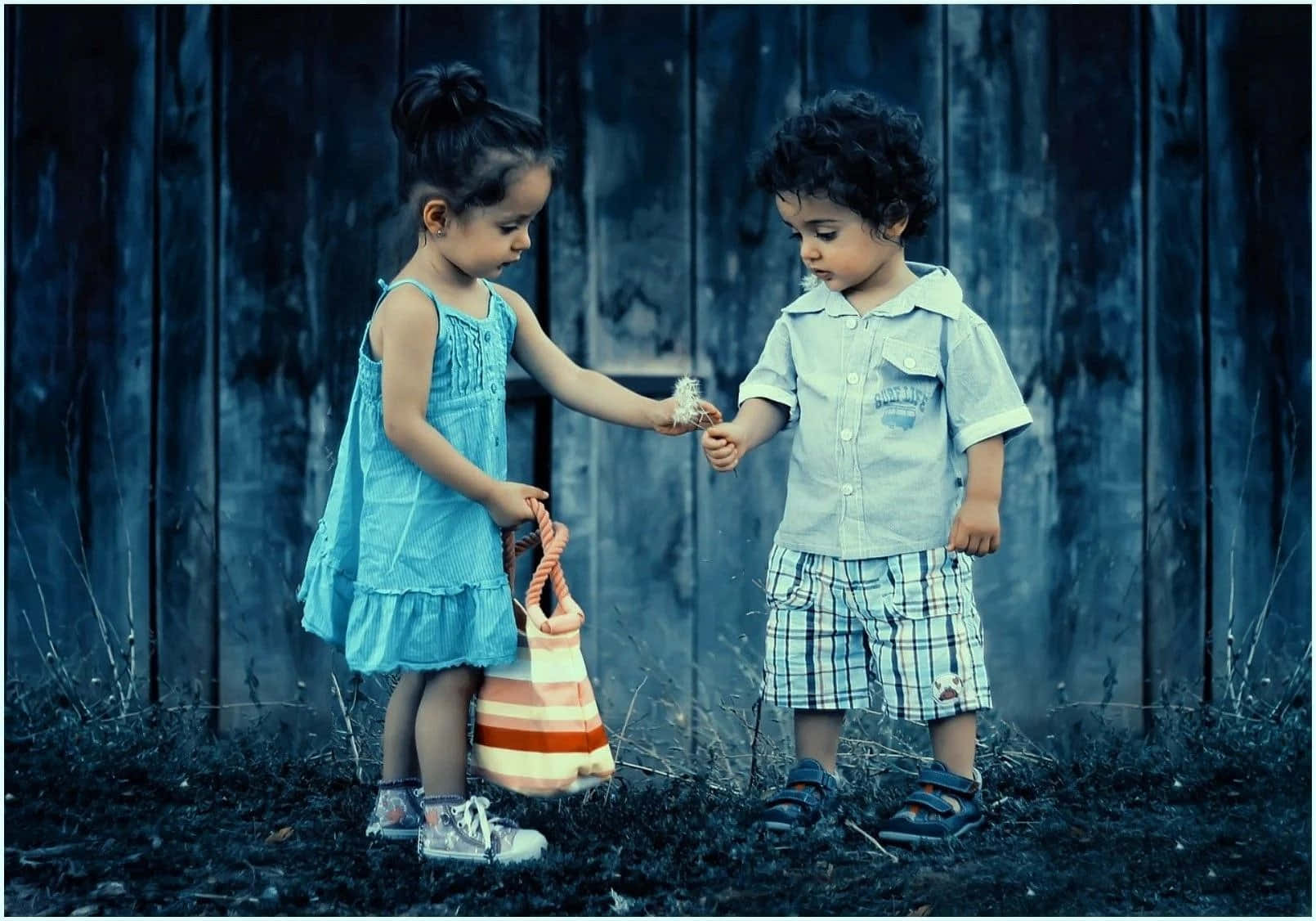 Brother And Sister 桌布 壁紙 — 兩個藍色調的幼兒在一個安靜的戶外場景中，對著一個風化的木柵欄分享蒲公英絨毛。