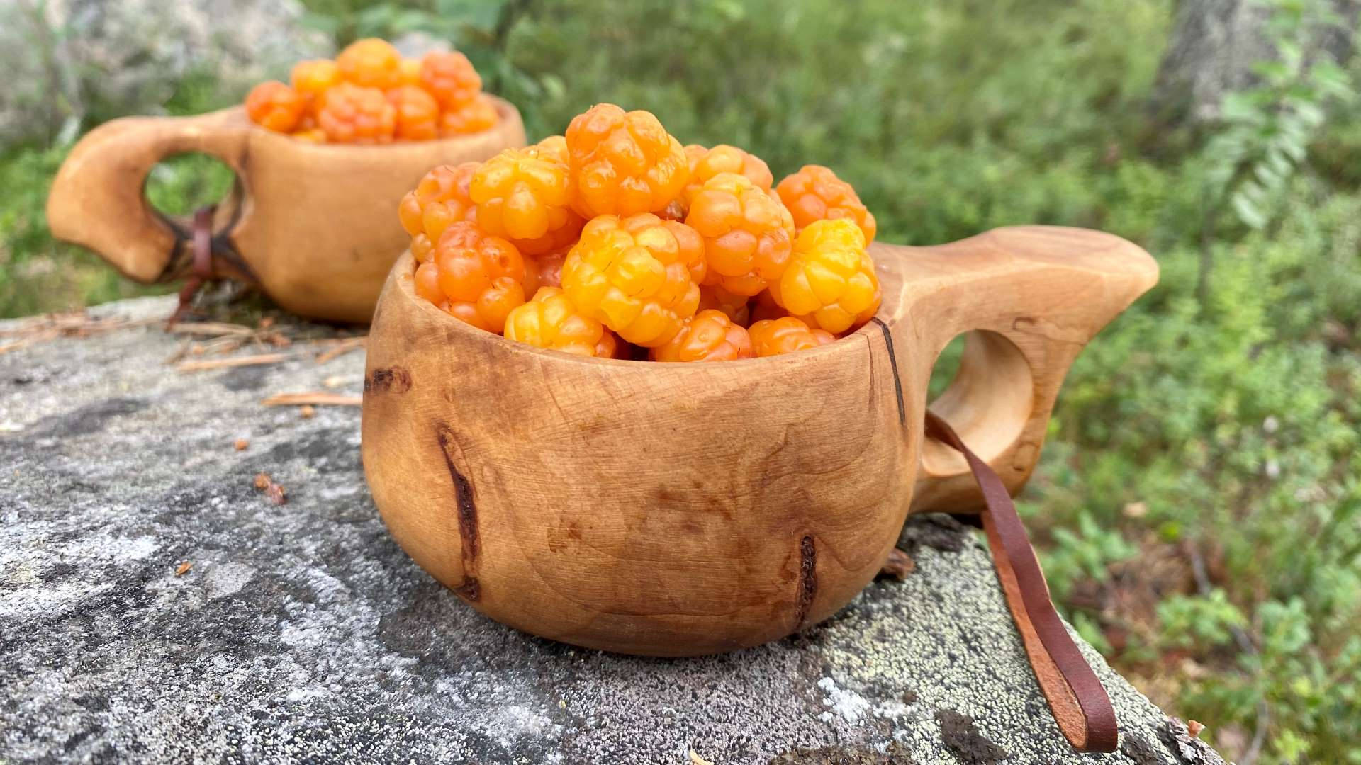 Berry 桌布 壁紙 — 兩個質樸的木杯盛滿鮮橙色的雲莓，放在茂密綠色森林中長滿苔蘚的石頭上。