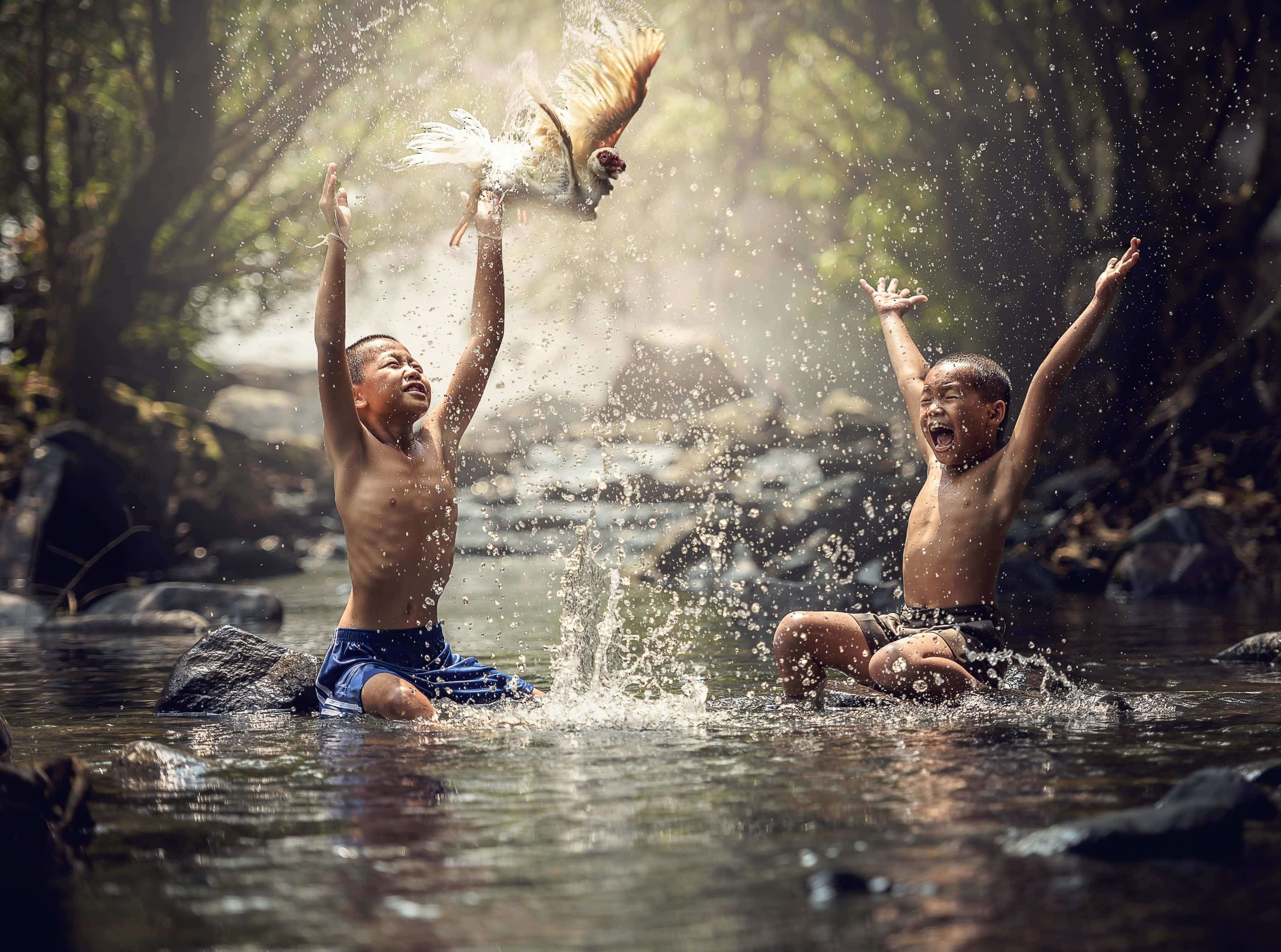 Cute Kids 桌布 壁紙 — 兩個赤膊男孩在森林溪流中潑水，一隻公雞在他們之間飛起，水滴捕捉到陽光。