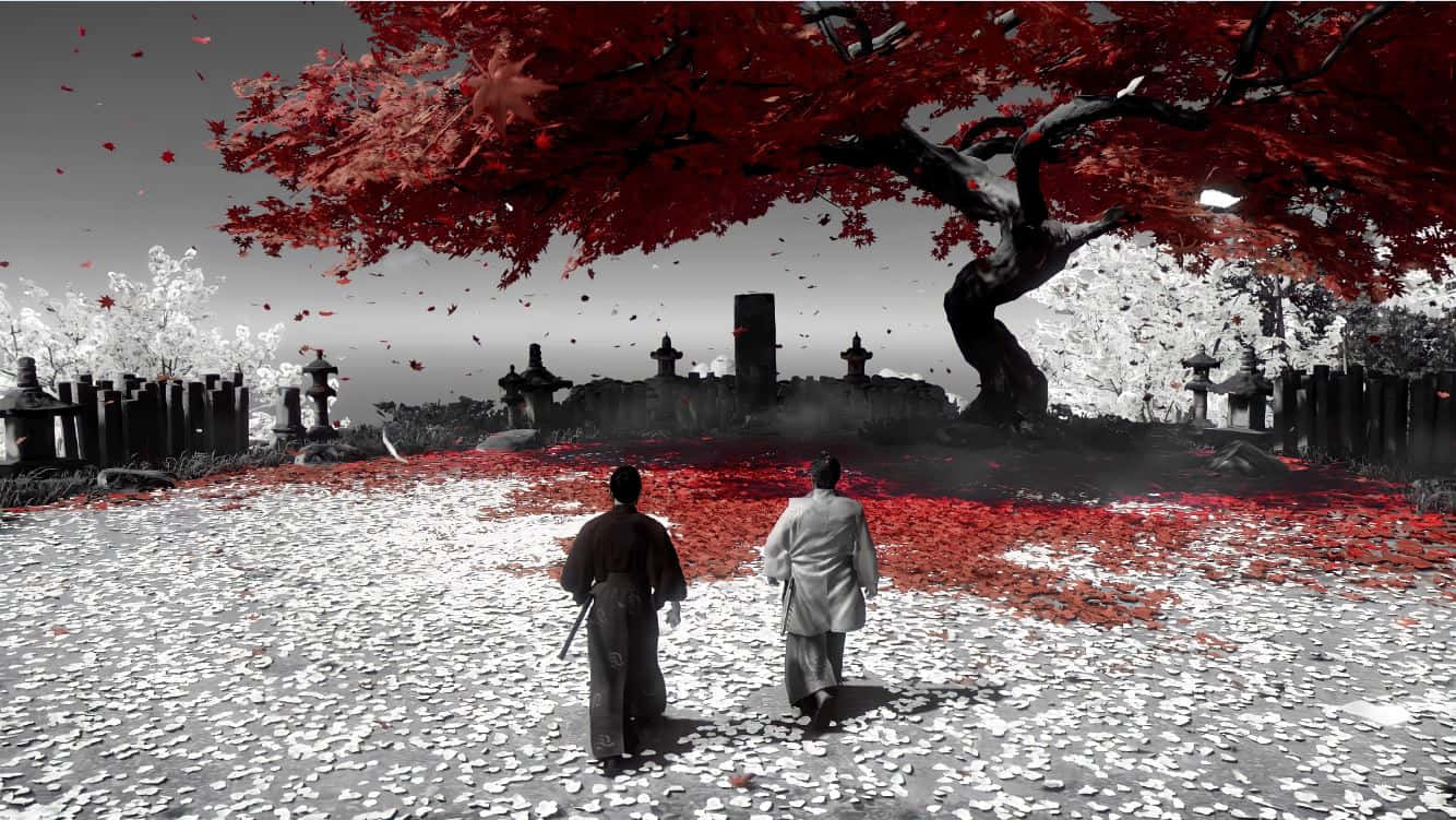 Feudal Japan 桌布 壁紙 — 兩個身影在單色墓地的一棵鮮紅色楓樹下行走，花瓣飄落。