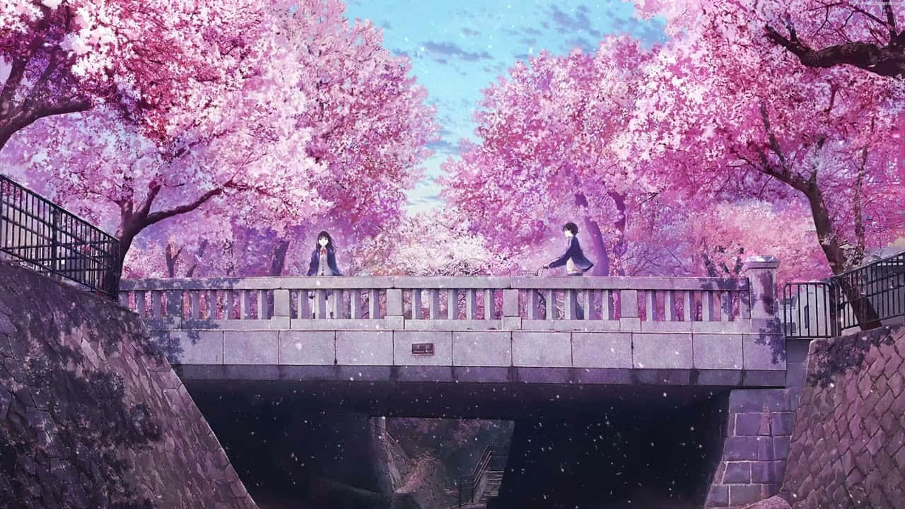 Cherry Blossoms Anime Scenery 桌布 壁紙 — 兩個身影站在石橋上，上方是鮮豔的粉紅色櫻花樹冠，花瓣在柔和的暮色中飄落。