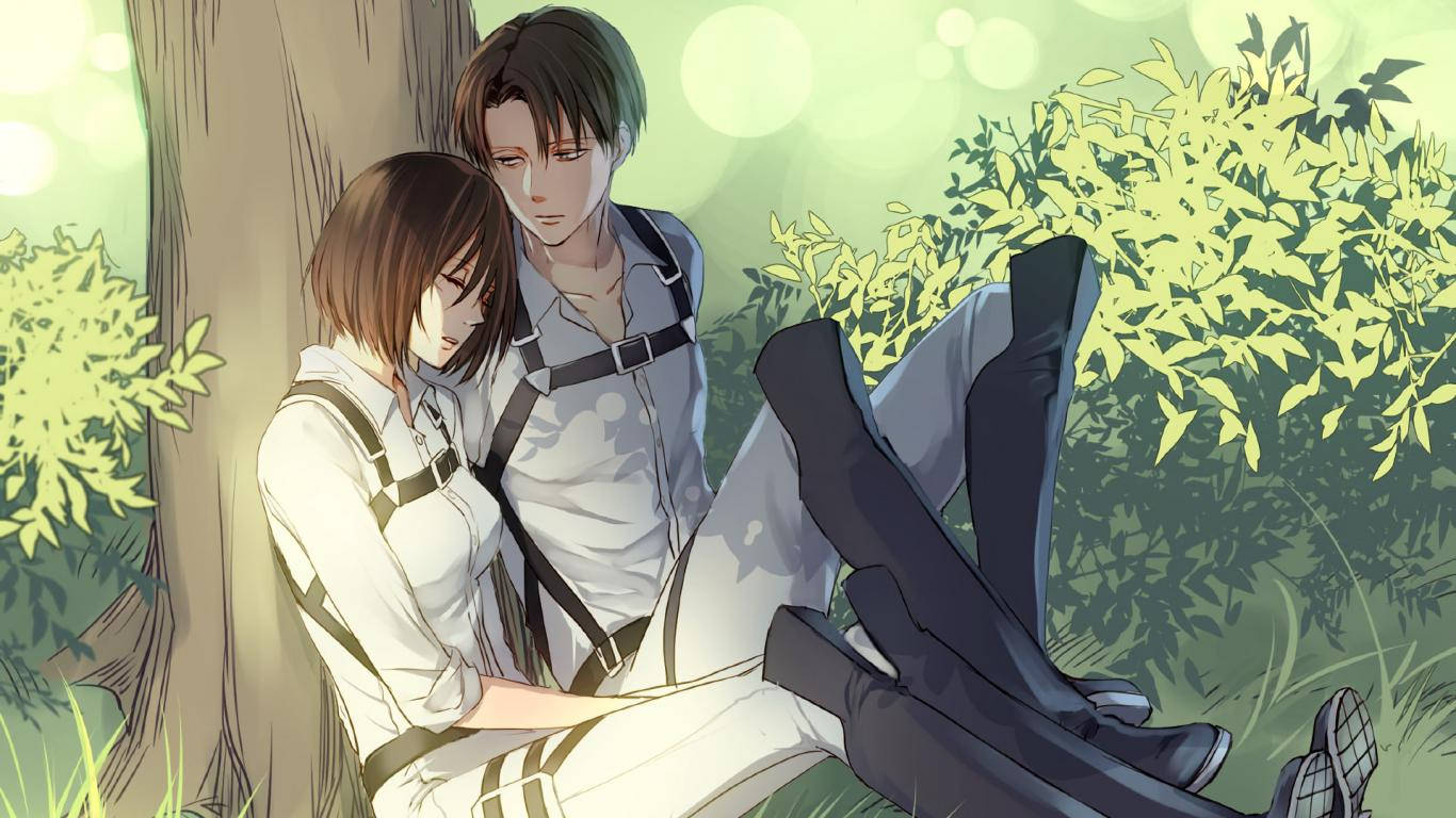 Levi 桌布 壁紙 — 兩個身穿白色裝備的動漫角色在陽光普照的綠色森林中靠著樹休息，背景有柔和散景。