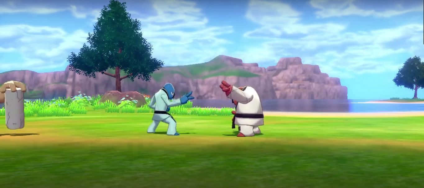 Pokemon Aesthetic 桌布 壁紙 — 兩個身穿白色道服的動漫角色在一個有岩石懸崖和樹木的草地上，在明亮的藍天下對峙。