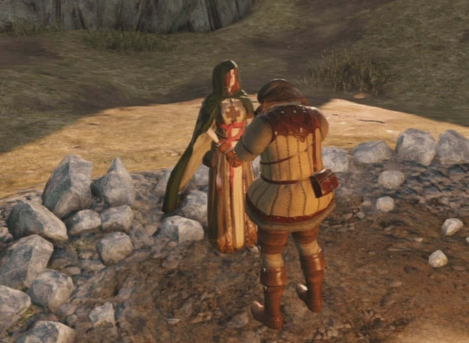 Dark Souls Emerald Herald 桌布 壁紙 — 兩個身穿盔甲的人物站在岩石戶外場景中，一個披綠色斗篷，另一個穿棕色盔甲並帶有血跡。