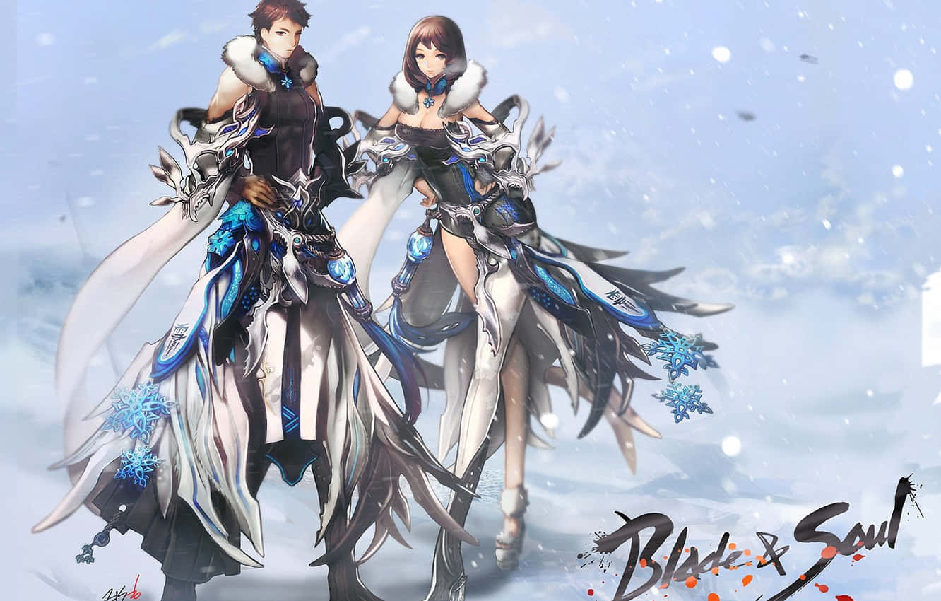 電玩遊戲 桌布 壁紙 — 兩個身穿華麗藍白冬季鎧甲的動漫角色站在飄落的雪花中，背景是寒冷的天空。
