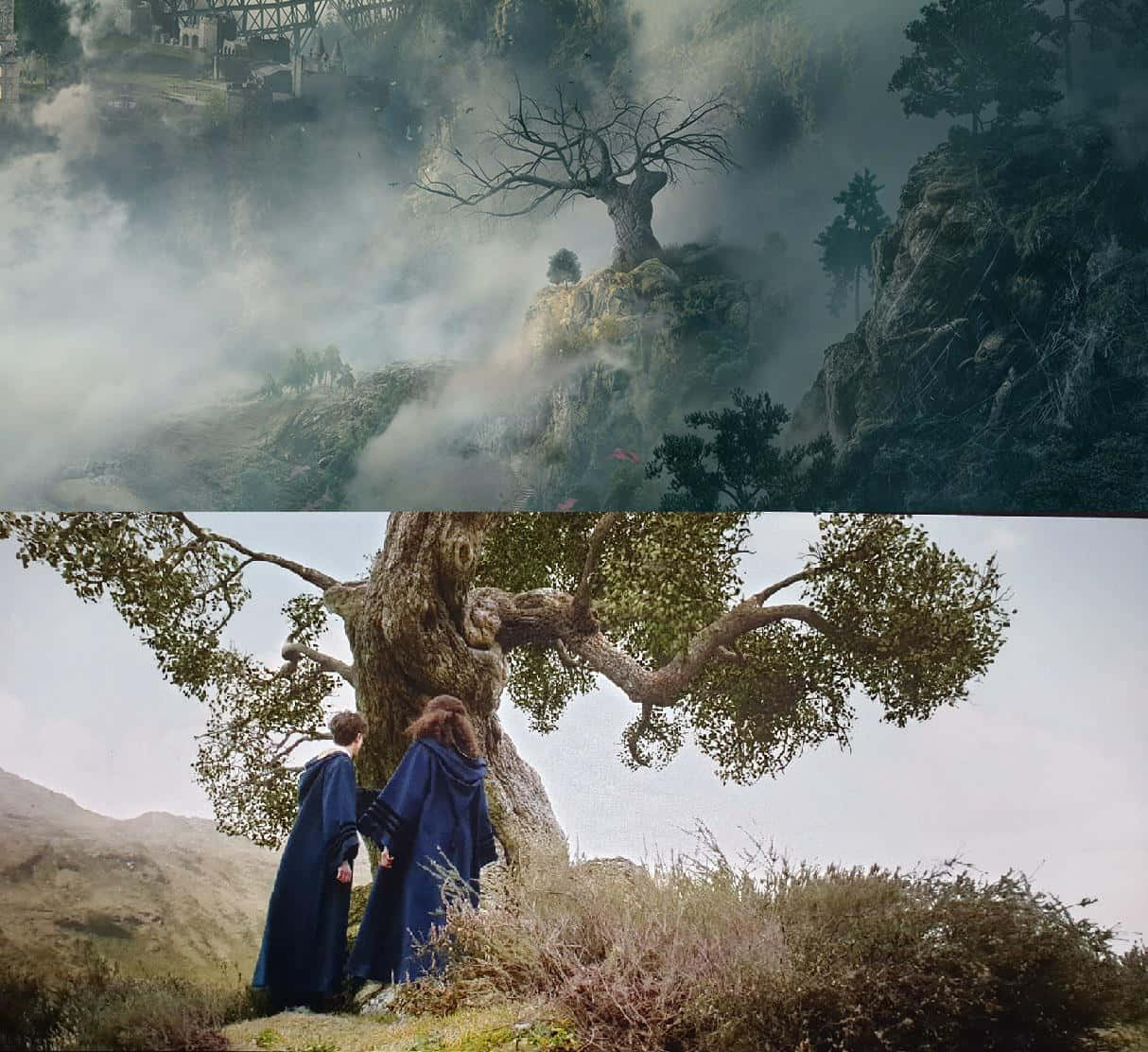 The Whomping Willow 桌布 壁紙 — 兩個身穿藍色長袍的人物站在一棵巨大的多節樹下，位於霧氣瀰漫的山坡上，俯瞰著遠處的橋樑。