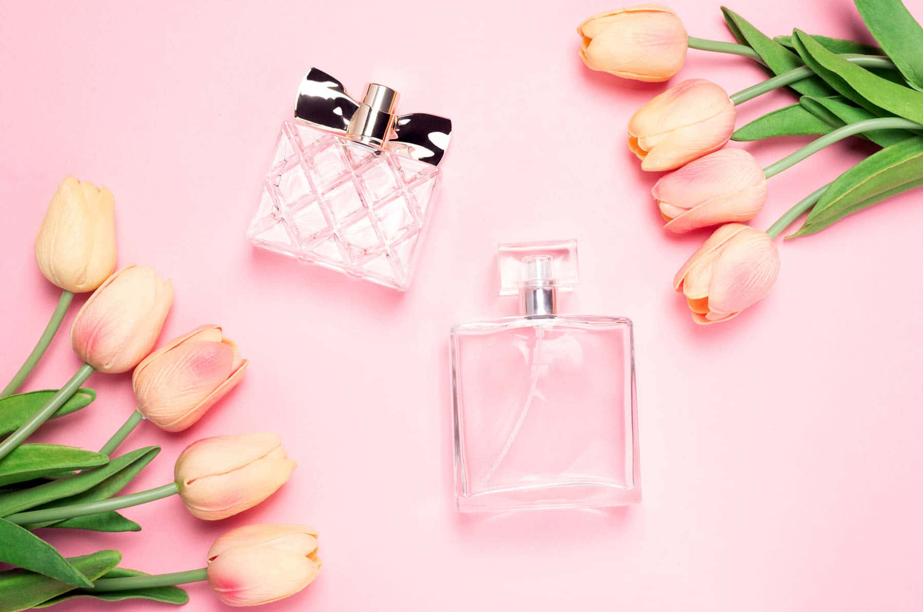 Floral Fragrance 桌布 壁紙 — 兩個透明香水瓶配銀色瓶蓋，放在柔和的粉紅色背景上，周圍環繞著蜜桃色鬱金香和綠色莖葉。