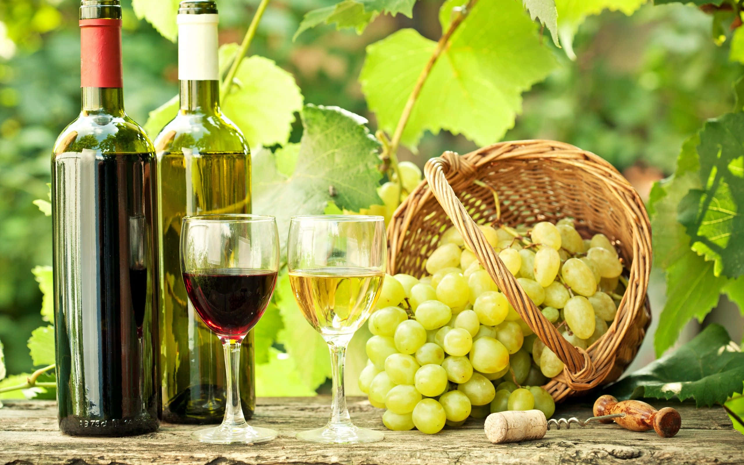 White Wine 桌布 壁紙 — 兩個酒瓶和酒杯放在一個裝有青葡萄的籃子旁邊，置於木桌上，上方有茂密的葡萄藤。