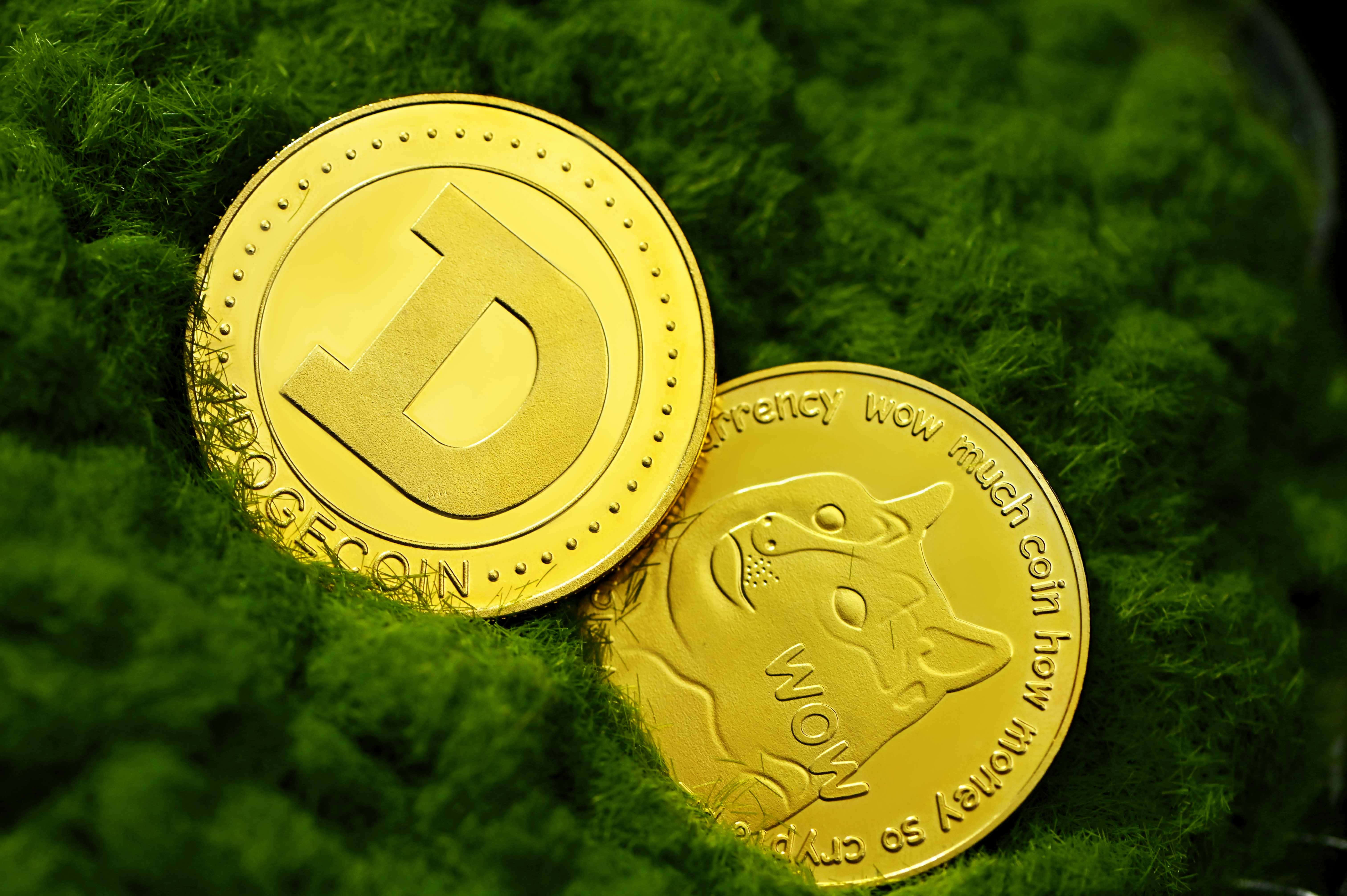 Dogecoin 桌布 壁紙 — 兩個金色 Dogecoin 代幣放置在茂密綠色苔蘚表面上，焦點清晰，背景柔和模糊。