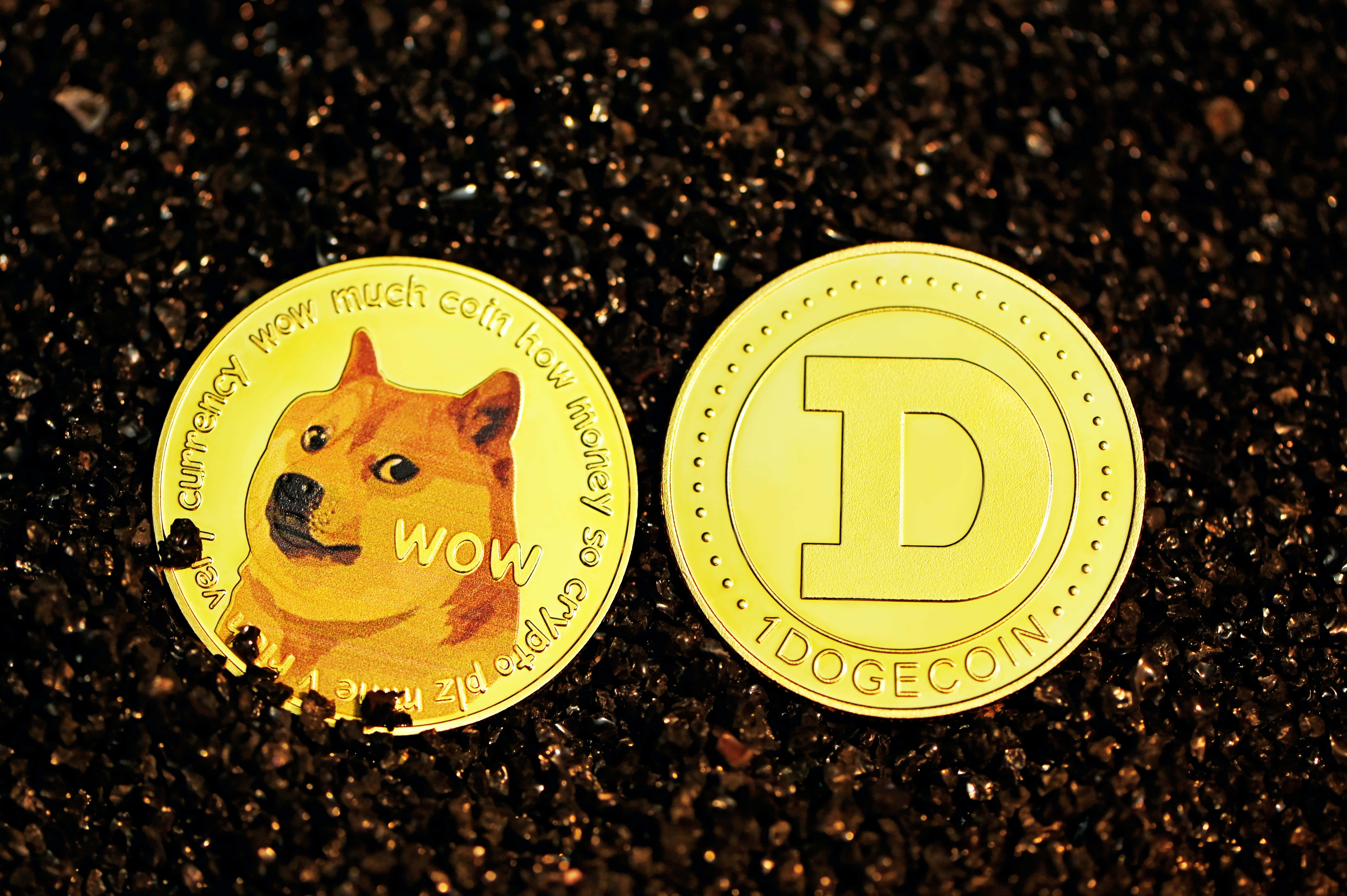 Dogecoin 桌布 壁紙 — 兩個金色狗狗幣代幣放在深色碎石上，一個顯示柴犬臉，另一個顯示大寫字母D。
