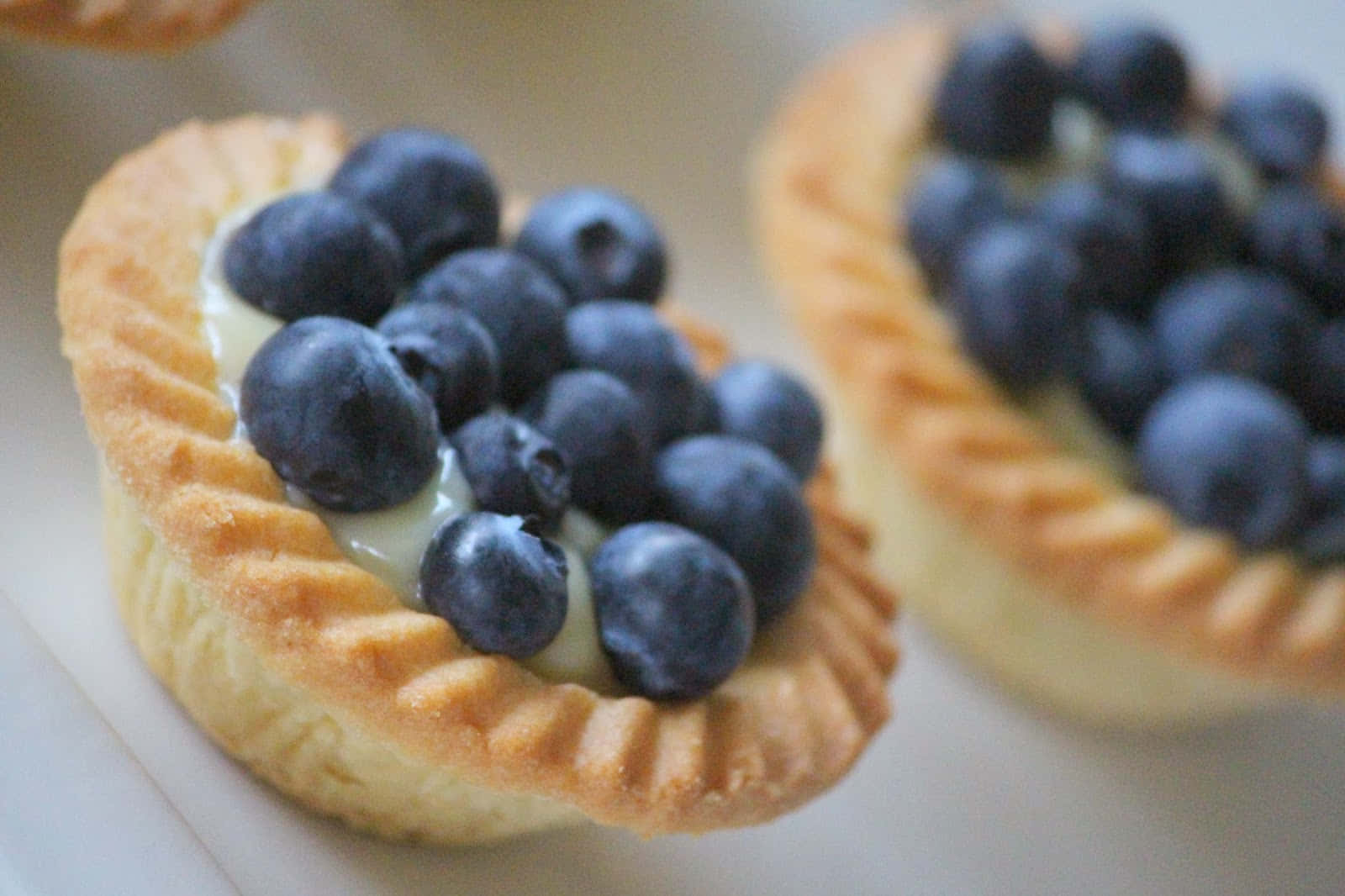Blueberries Tart 桌布 壁紙 — 兩個金黃色小塔的近距離特寫，內餡為奶油卡士達，上面綴滿飽滿藍莓。