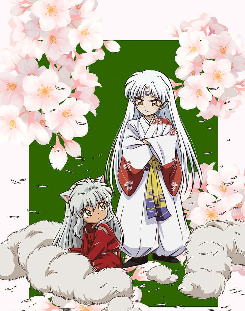 Inuyasha And Sesshomaru 桌布 壁紙 — 兩個銀色頭髮和狐狸尾巴的動漫角色坐在綠色背景下的落櫻中。