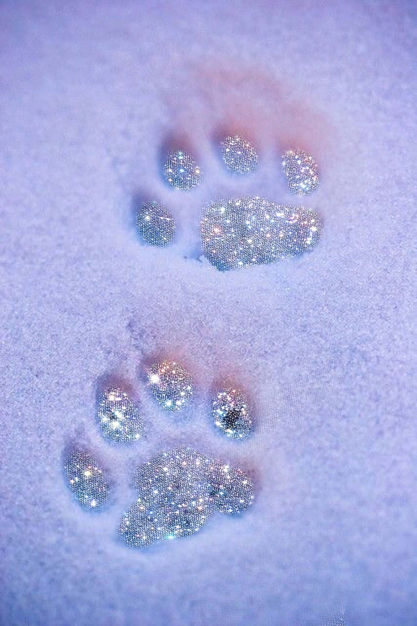 Sparkle 桌布 壁紙 — 兩個閃閃發光的爪印在柔和的紫色雪地上，在柔和的光線下閃爍。