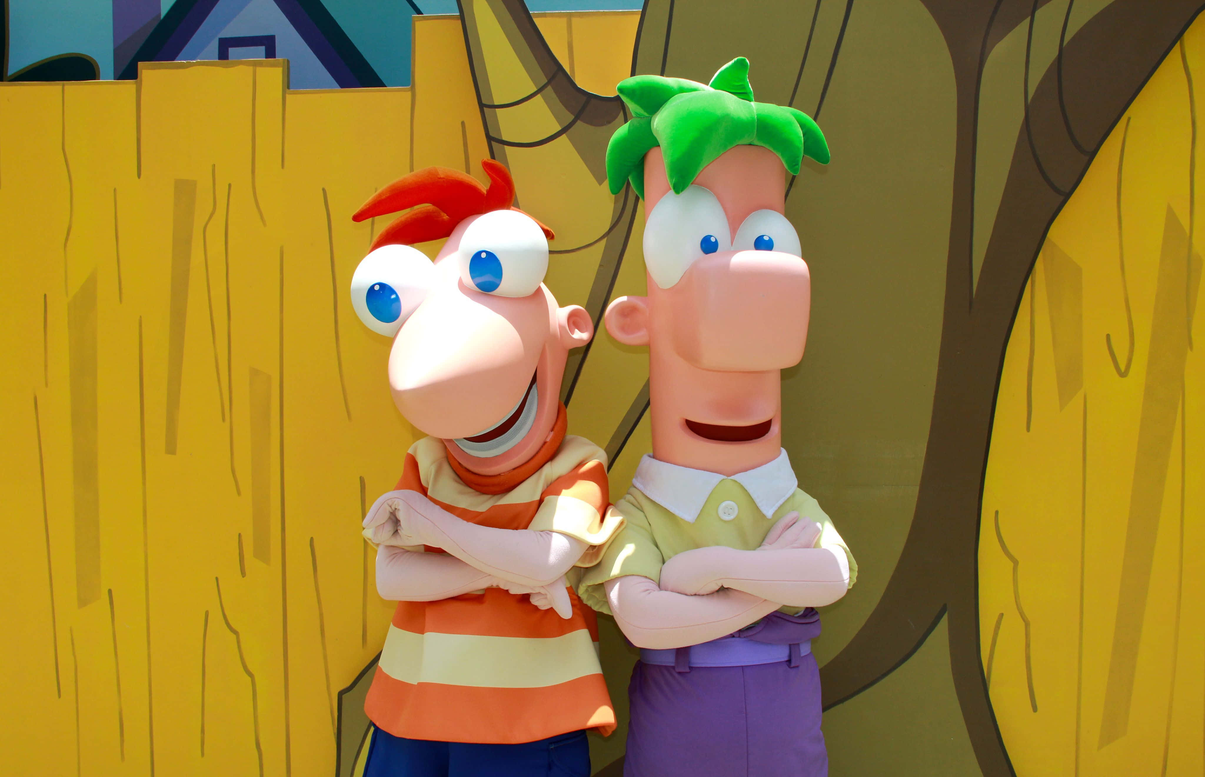 Phineas And Ferb 桌布 壁紙 — 兩個開心的卡通吉祥物，有著超大的眼睛和交叉的手臂，站在一個風格化的黃色木籬笆背景前微笑。
