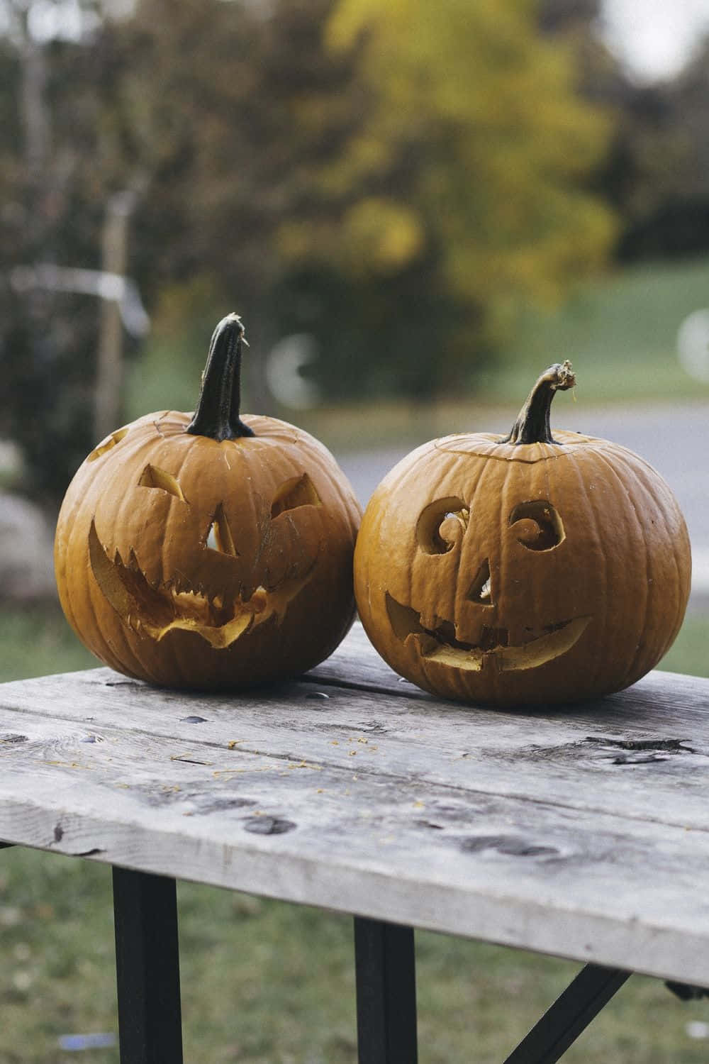Orange Halloween 桌布 壁紙 — 兩個雕刻有恐怖面孔的南瓜燈並排放在戶外一張風化的木製野餐桌上。