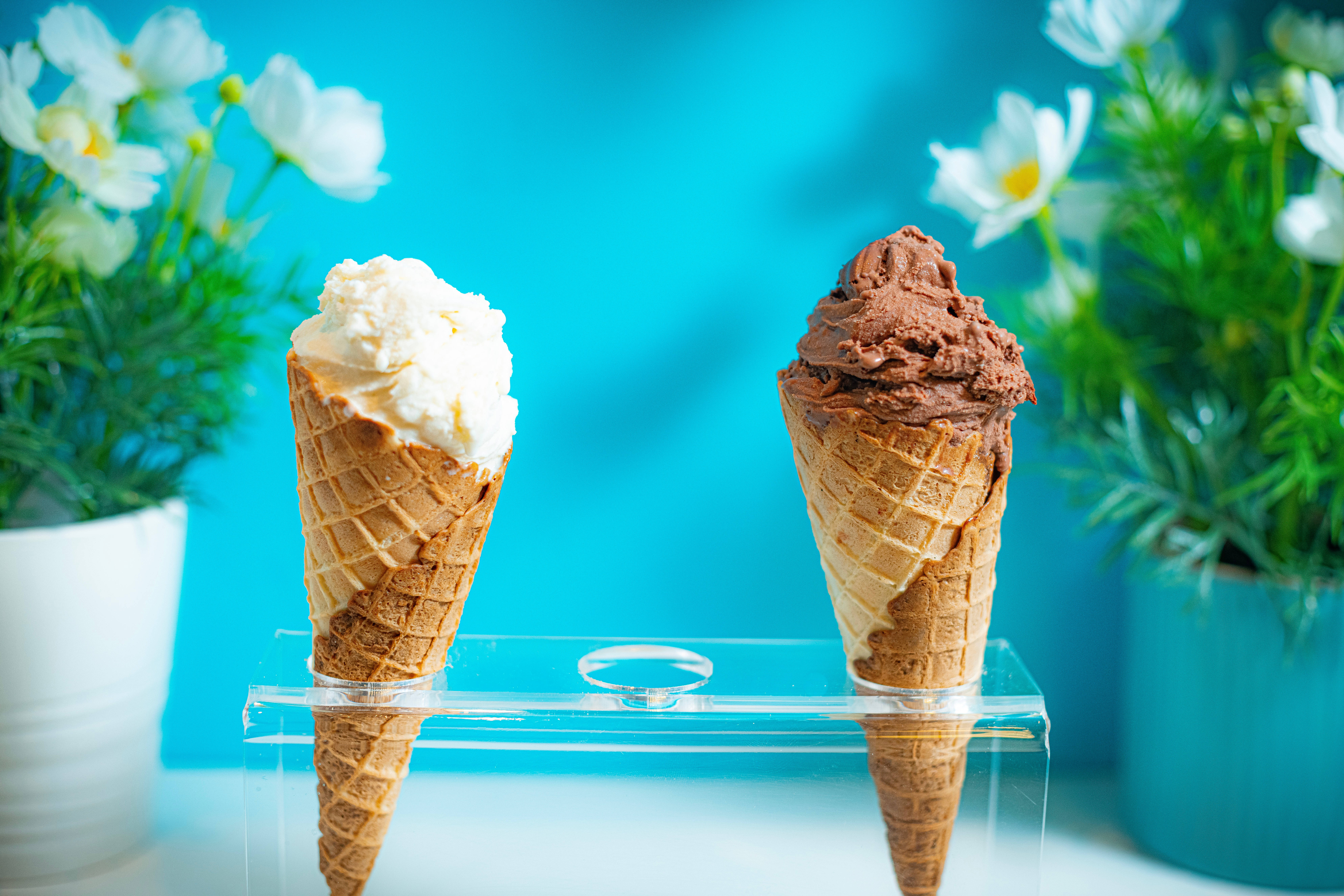 Ice Cream 桌布 壁紙 — 兩個香草和巧克力冰淇淋甜筒放在一個透明架上，背景是鮮豔的藍色，配有白色花朵和綠色植物。