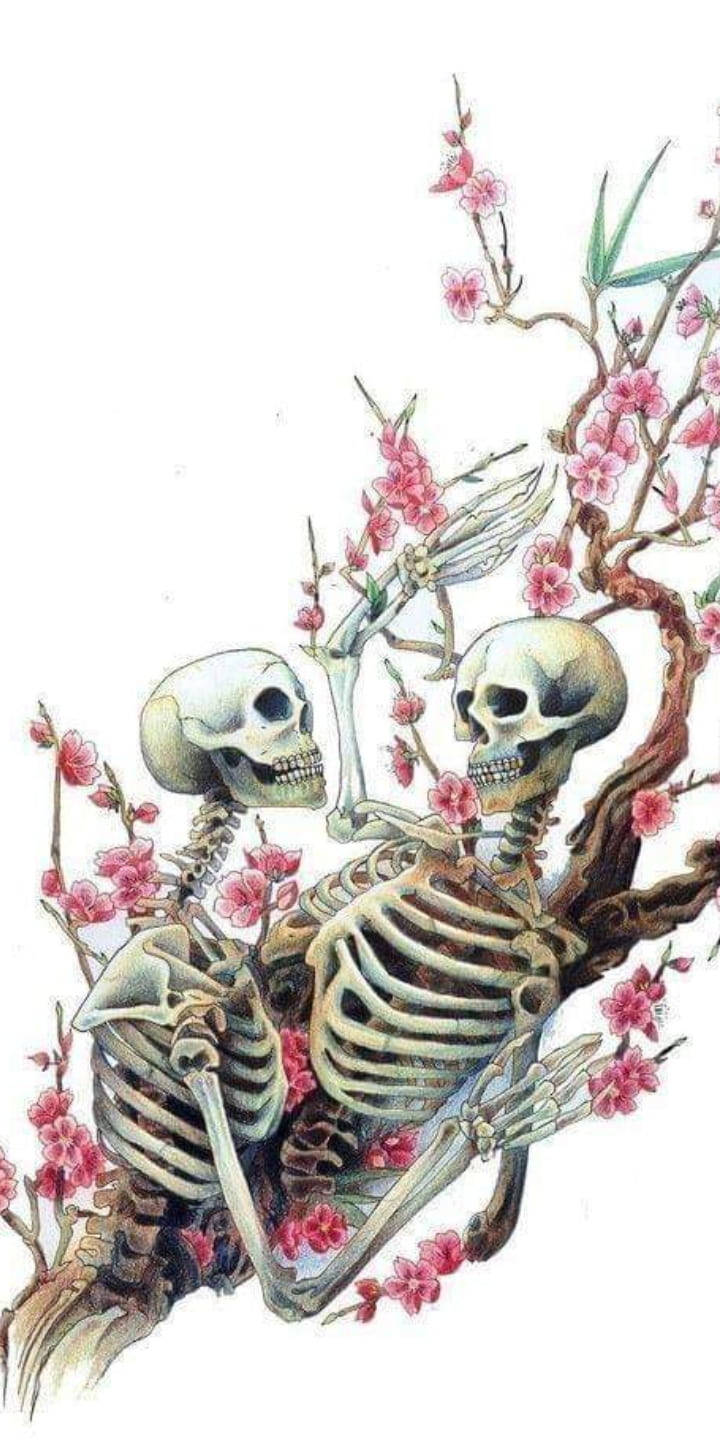 櫻花 桌布 壁紙 — 兩個骷髏在盛開的粉紅櫻花下，於纖細的樹枝上擁抱。