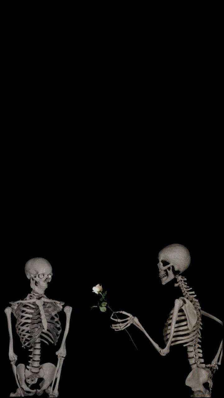 Cute Skeleton 桌布 壁紙 — 兩個骷髏在黑色虛空中，其中一個向另一個獻上一朵白玫瑰，形成強烈對比。