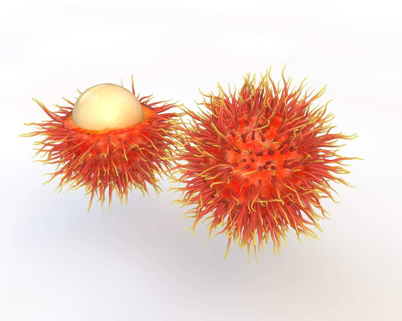 Fruits 桌布 壁紙 — 兩個鮮紅色的紅毛丹，帶有刺狀毛髮，其中一個露出乳白色的內部，背景是純白色。