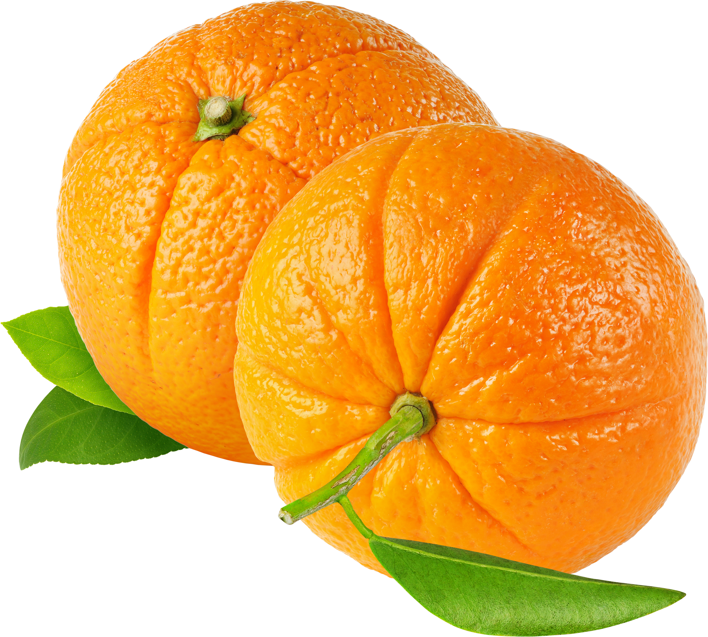 mandarin 桌布 壁紙 — 兩個鮮豔的橙色柑橘，帶有紋理果皮和新鮮綠葉，襯以中性灰色背景。