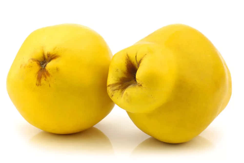 Quince 桌布 壁紙 — 兩個鮮黃色的榲桲，表皮有紋理，緊貼在白色反光表面上。