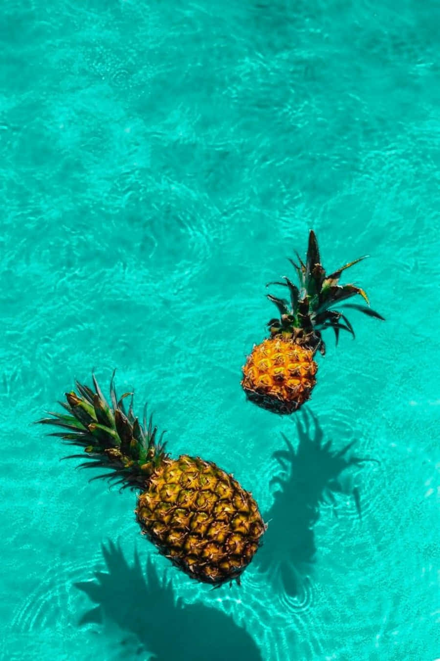 Pineapple 桌布 壁紙 — 兩個鳳梨在水晶般清澈的綠松石泳池水中寧靜地漂浮，在它們下方投下樹葉般的陰影。