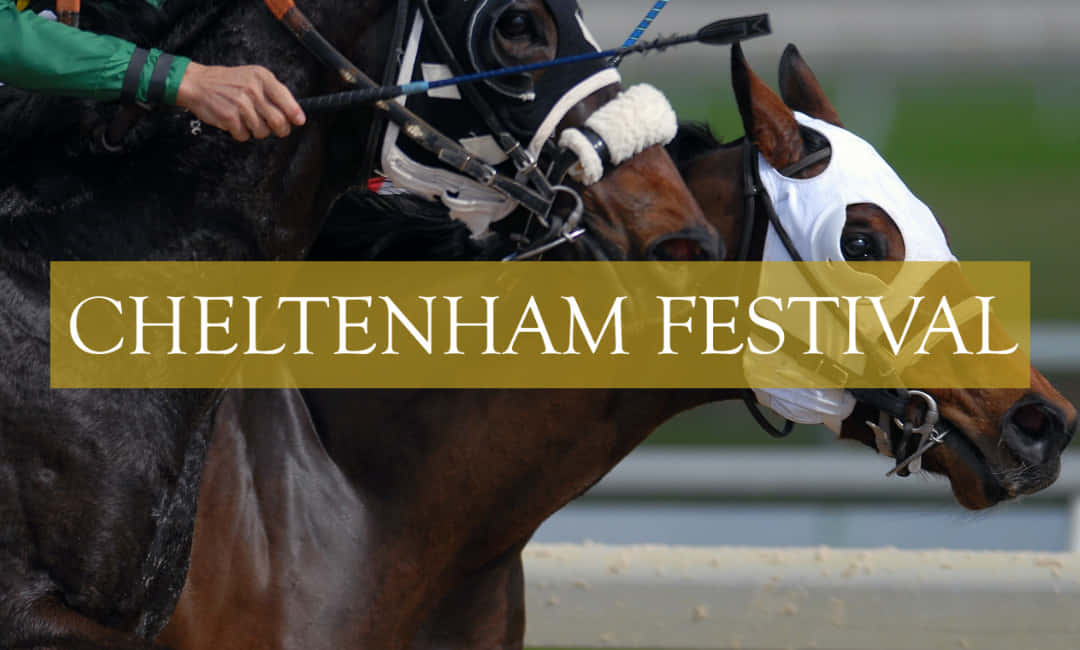 Cheltenham Festival 桌布 壁紙 — 兩匹賽馬與騎師在切爾滕納姆節中激烈競爭，背景為模糊的綠色。