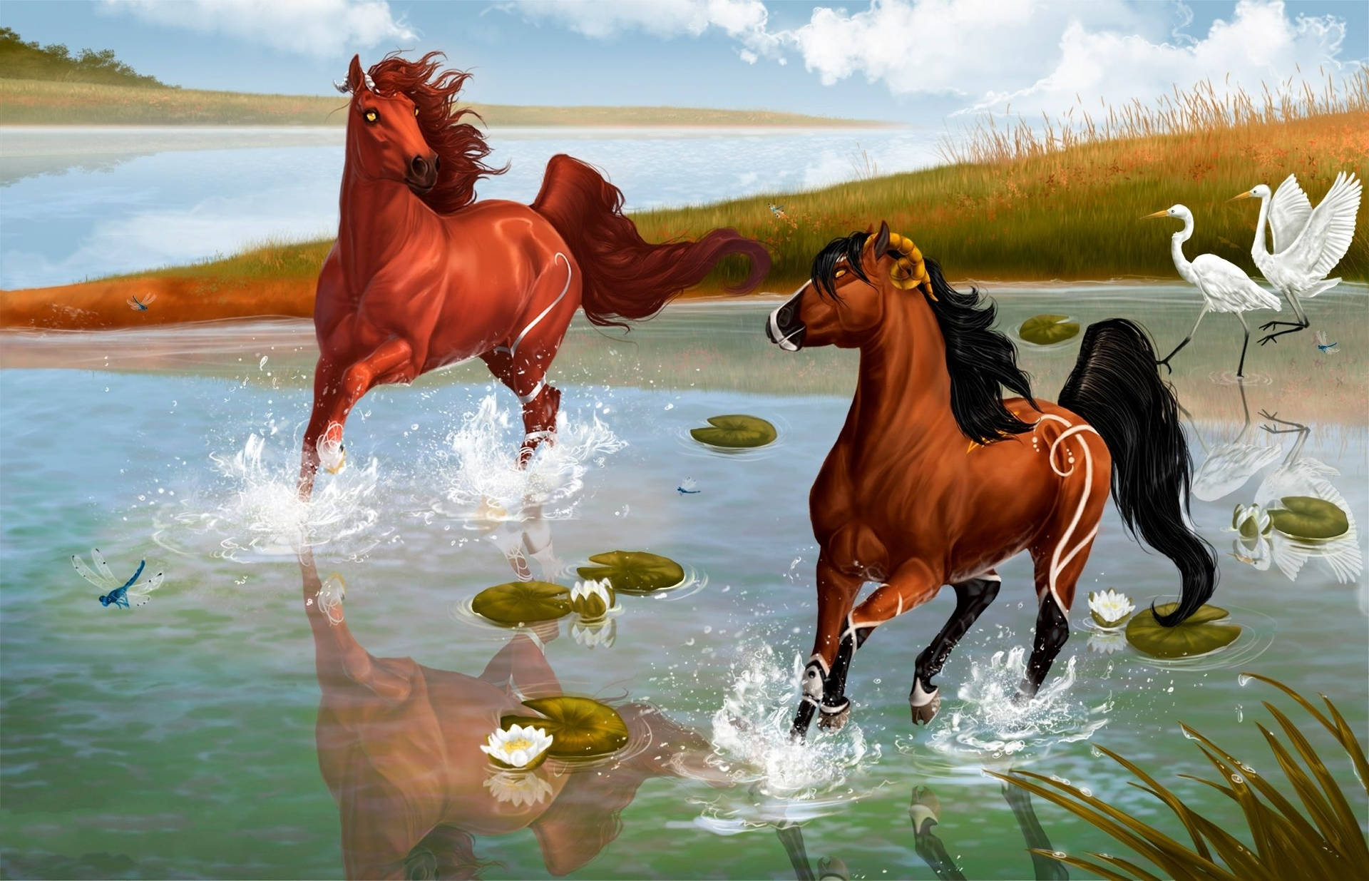 兩匹馬在自然環境中穿過水，有睡蓮葉和白鷺。 — 馬 壁紙