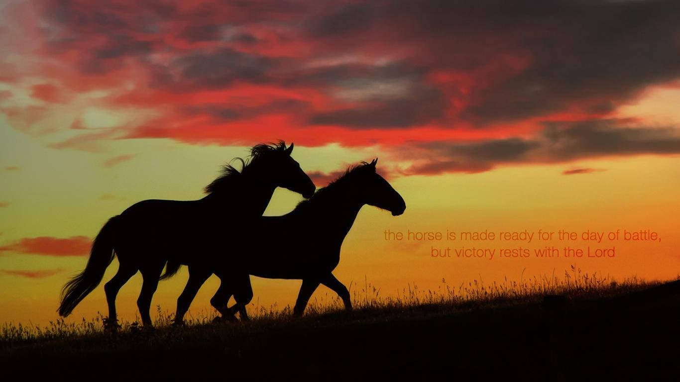 Victory 桌布 壁紙 — 兩匹馬以剪影姿態奔馳，背景是帶有戲劇性雲彩的熾熱日落天空。