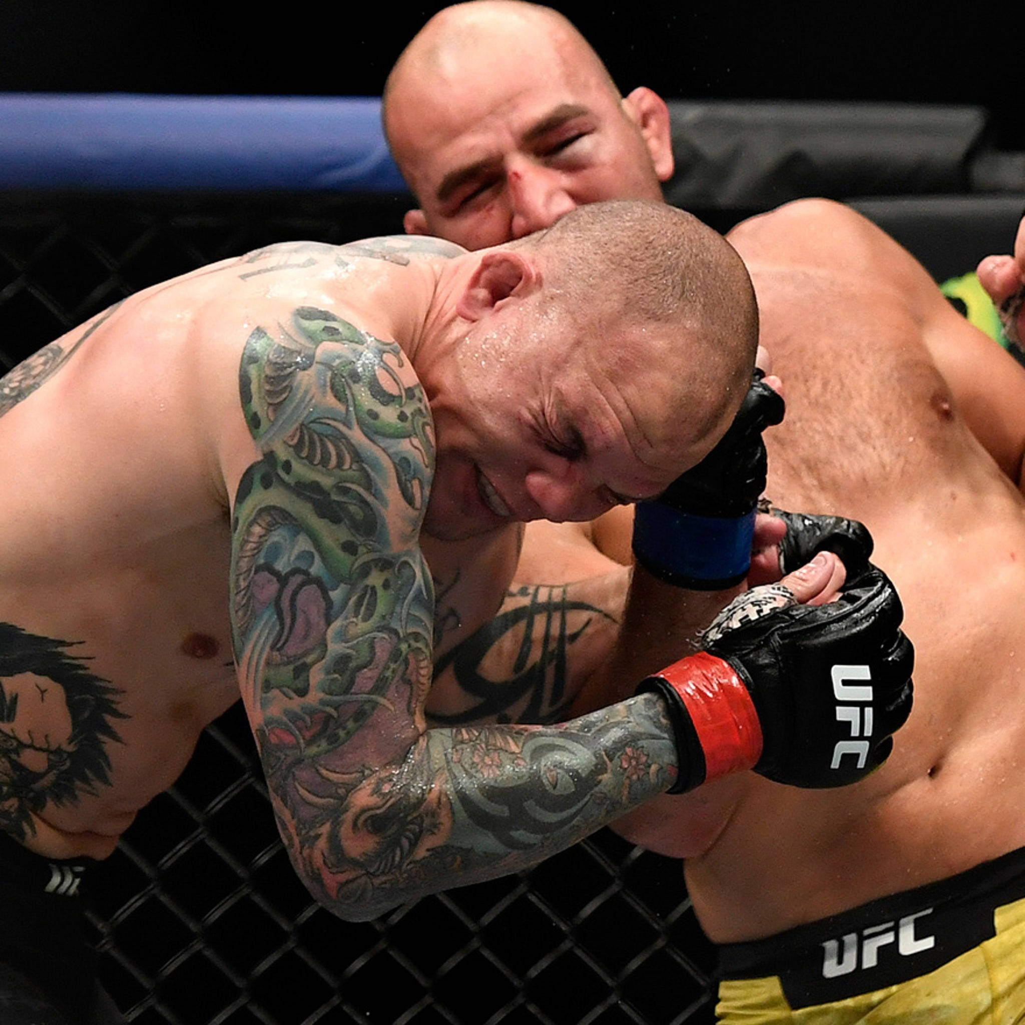 MMA 桌布 壁紙 — 兩名MMA拳手在UFC八角籠中激烈纏鬥，其中一人展示複雜的綠色和黑色刺青。