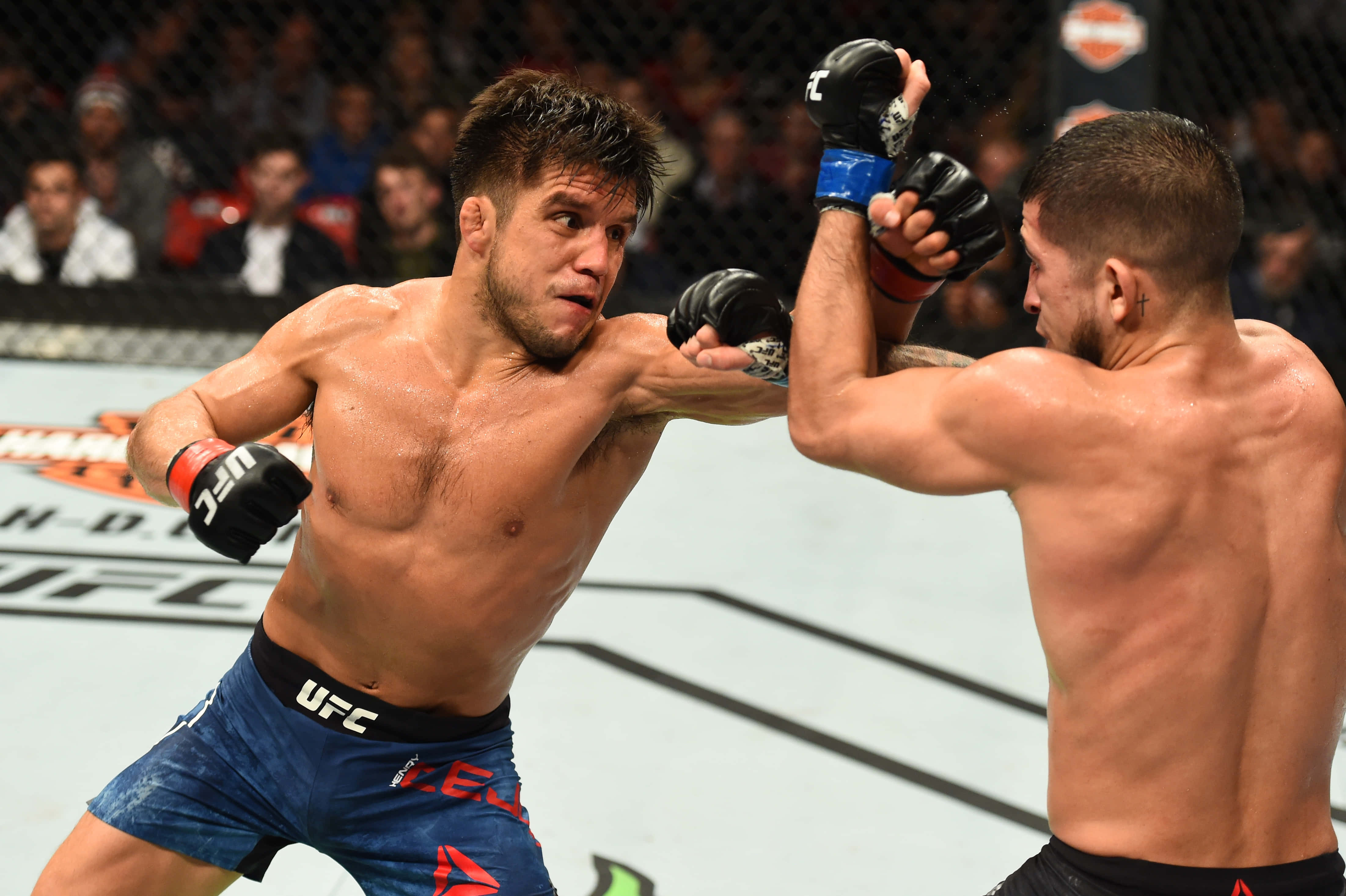 UFC 桌布 壁紙 — 兩名MMA拳手在一場高強度的UFC比賽中激烈交鋒，汗水飛濺，觀眾專注觀看。