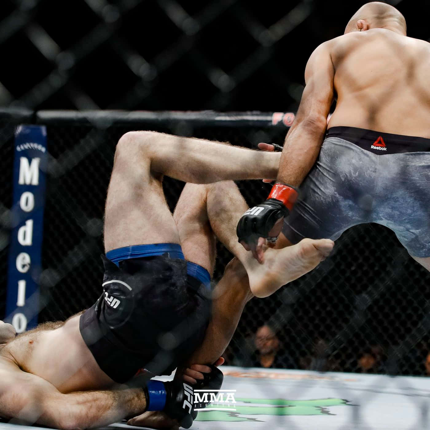 UFC 桌布 壁紙 — 兩名MMA拳手在八角籠內激烈纏鬥，背景有鐵絲網和模糊的觀眾。
