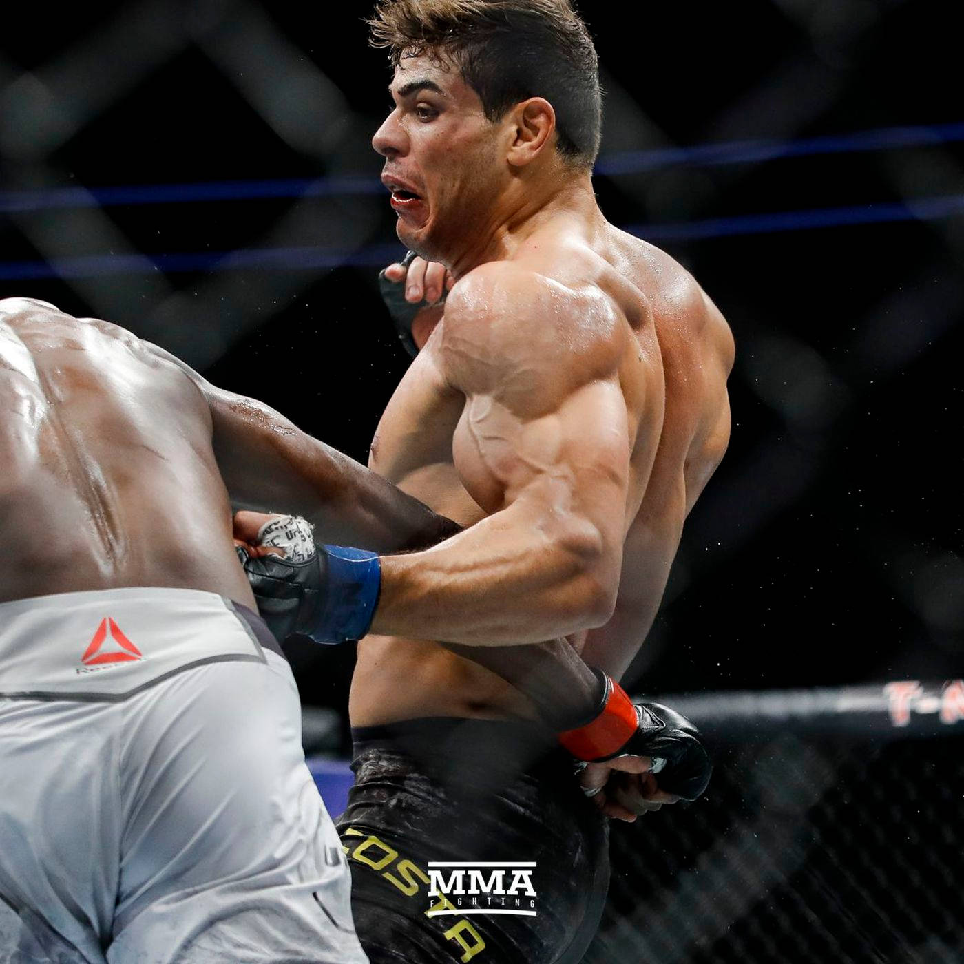 UFC 桌布 壁紙 — 兩名MMA拳手在八角籠內激烈纏鬥，汗水飛濺，其中一人施展摔倒。