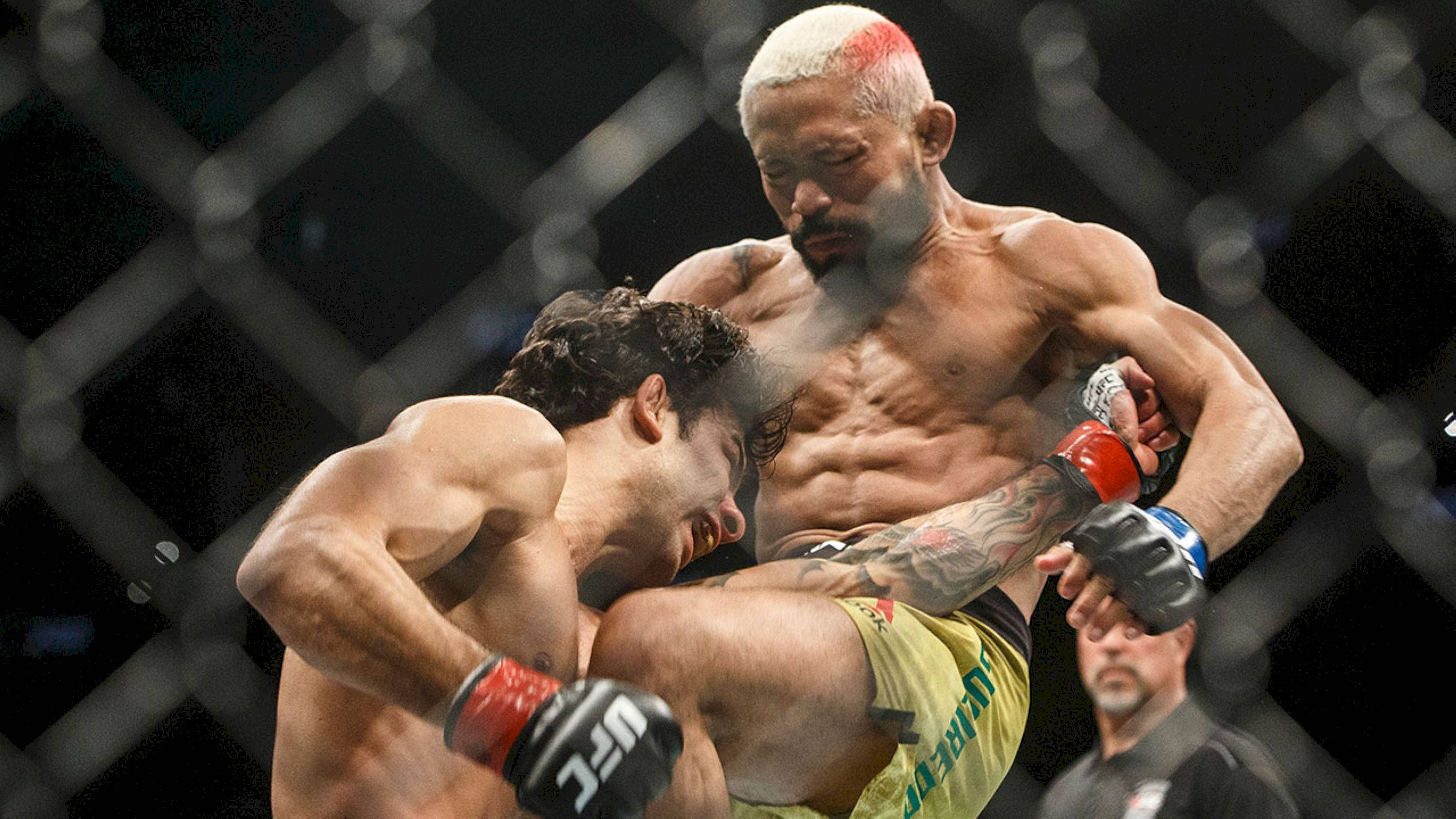 MMA 桌布 壁紙 — 兩名MMA拳手在明亮的場館燈光下，於八角籠內激烈纏鬥。