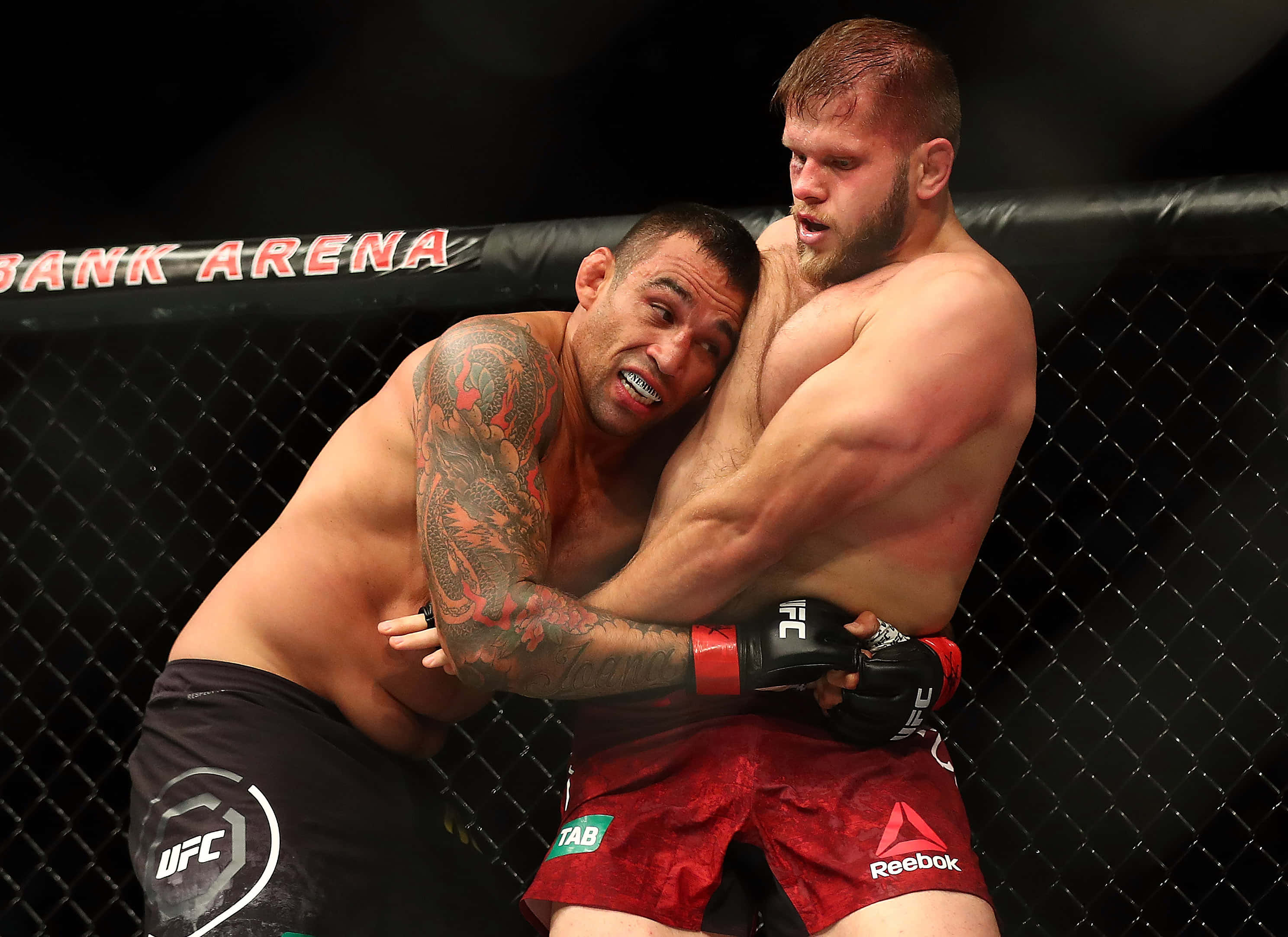 Boxing 桌布 壁紙 — 兩名MMA拳手在明亮的場館燈光下，於UFC賽事的鐵籠內激烈纏鬥。