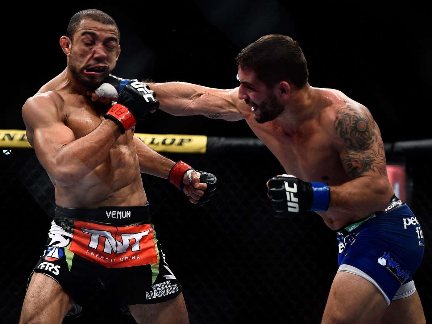 MMA 桌布 壁紙 — 兩名MMA拳手在激烈的籠中賽中交鋒，其中一人向對手面部打出強力一拳。